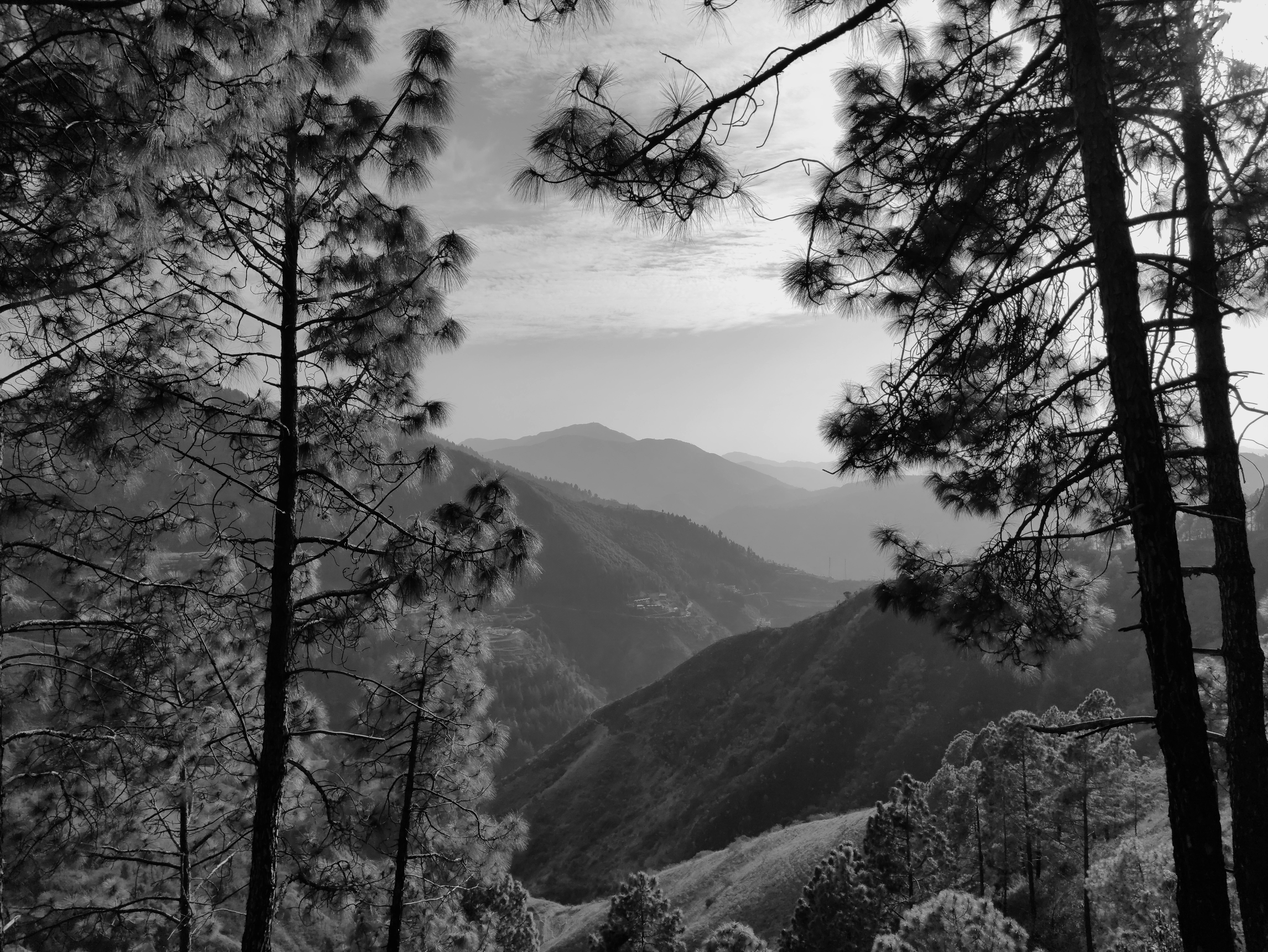 How Local Cuisine Shapes Travel Experiences in India: A Culinary Road Trip Guide