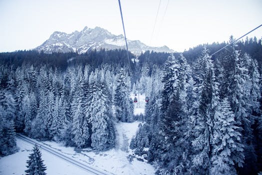 Experience the serene beauty of snow-covered forests and Mount Pilatus in Switzerland during winter.
