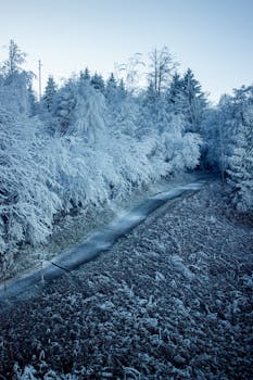 Image by Наталья Севрук