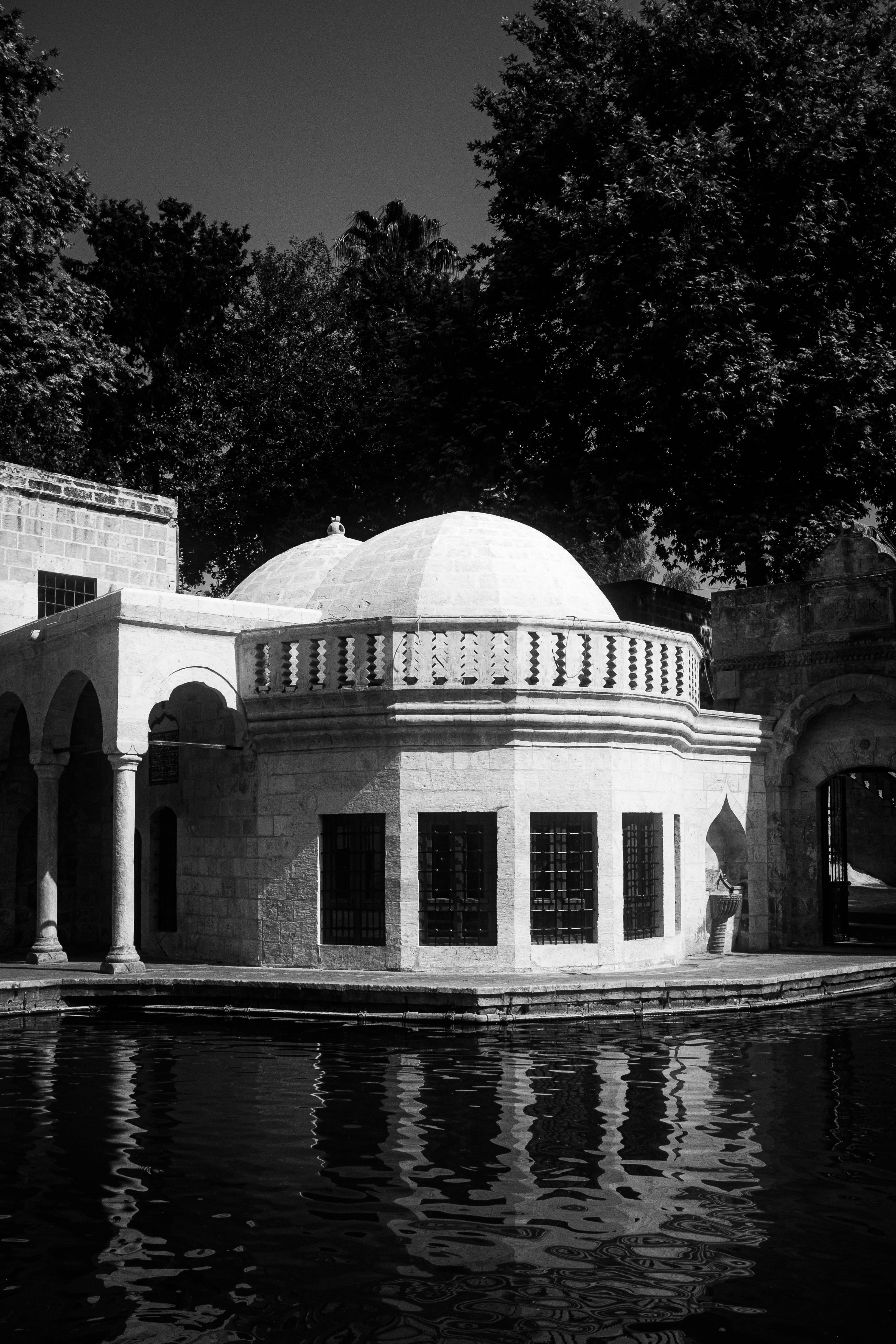 Kostenlos Schwarz-Weiß-Fotografie einer historischen Kuppelarchitektur, die sich im Wasser spiegelt, umgeben von Bögen und Bäumen. Stock-Foto