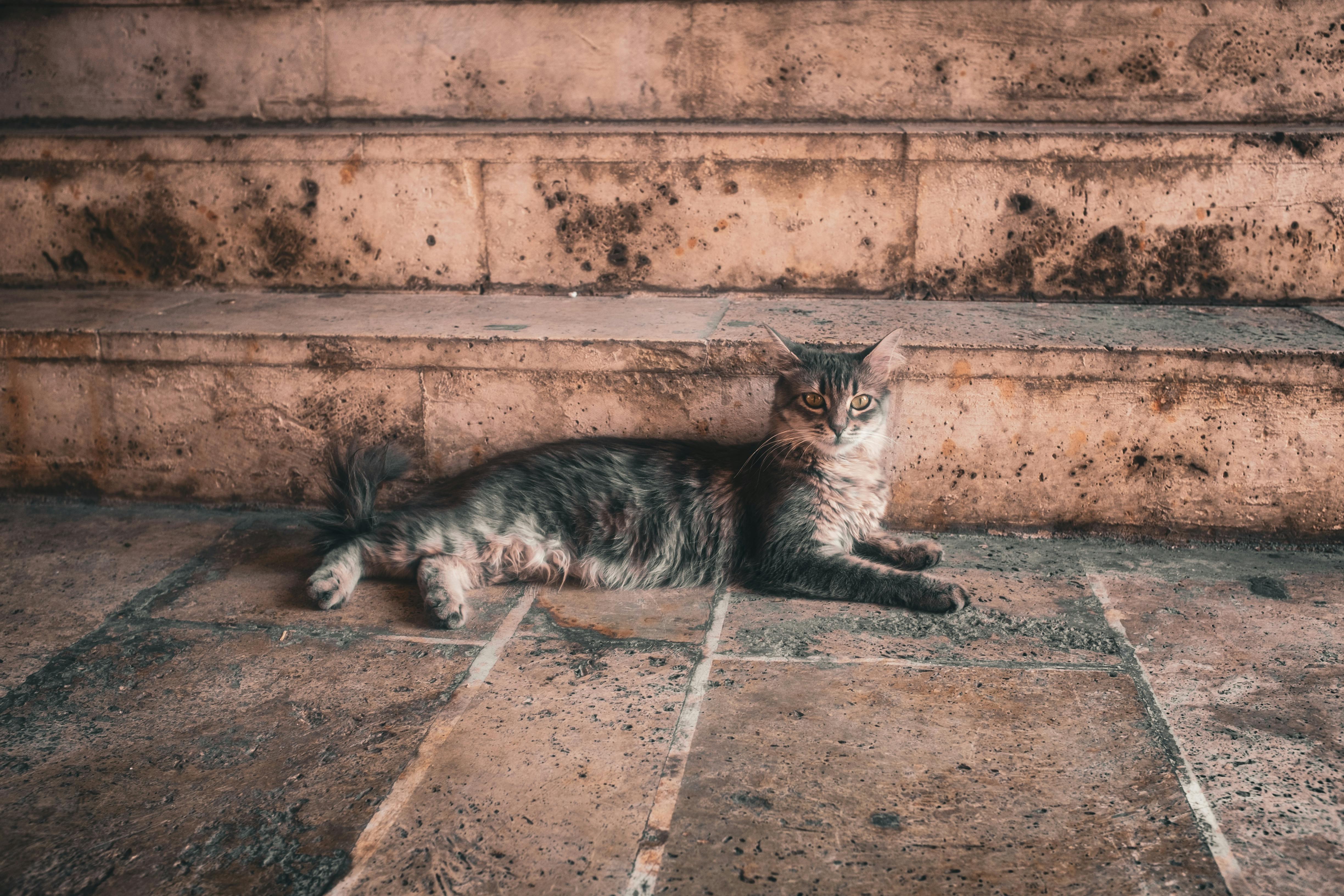 Ancient Palaces, a Cat Café, and KPop Demon Hunters—the Perfect Family Travel Itinerary for South Korea — Photo by Aysegul Ay