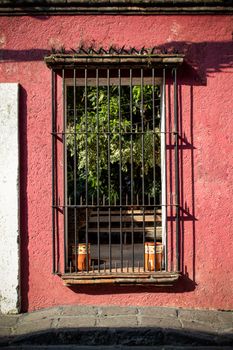 A colorful barred window in Coyoacán, Mexico City offers a glimpse into a lush garden.