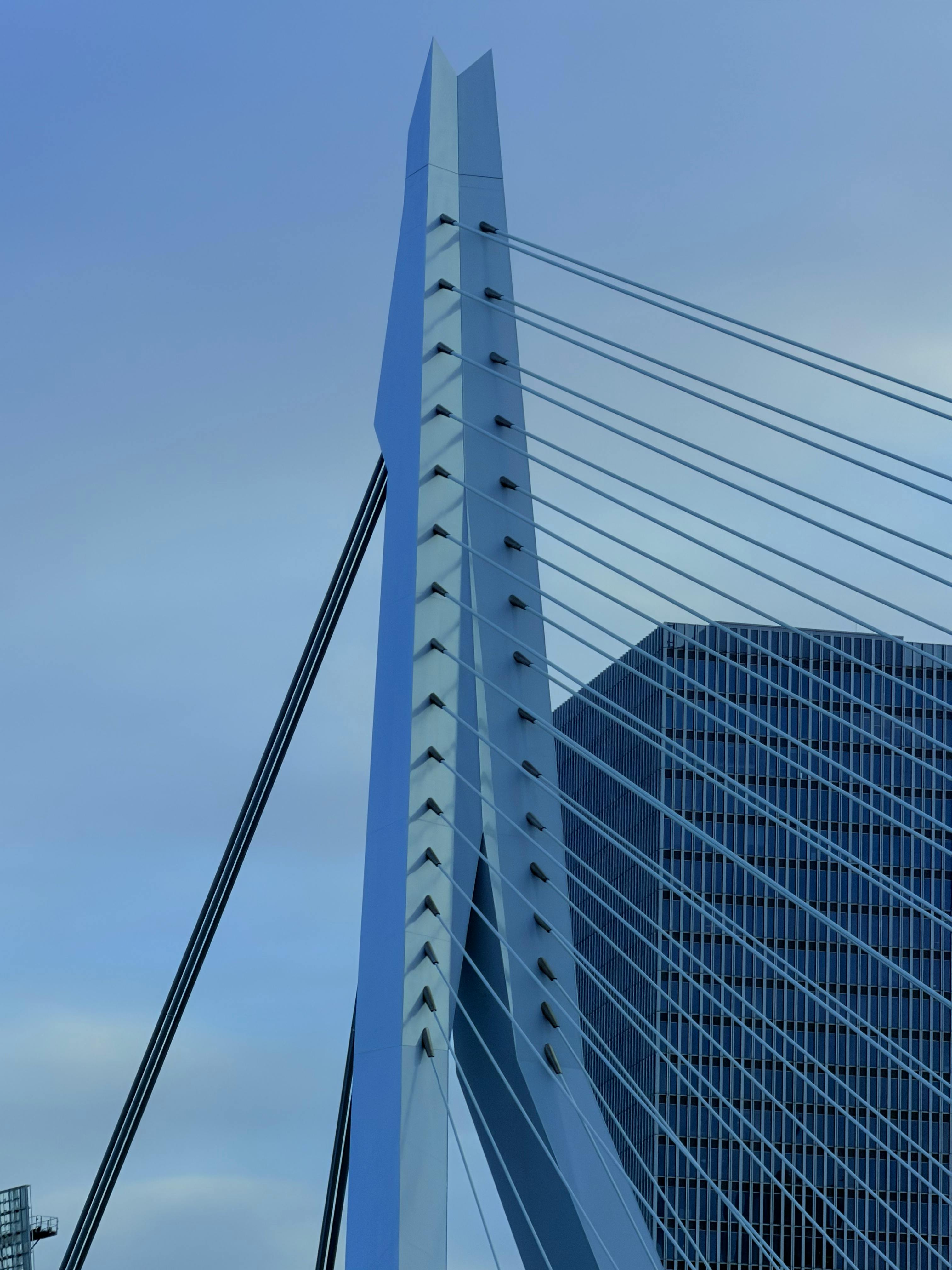 Gratis Primo piano dell'iconico ponte Erasmus di Rotterdam, che mette in mostra il moderno design strallato contro un cielo limpido. Foto a disposizione