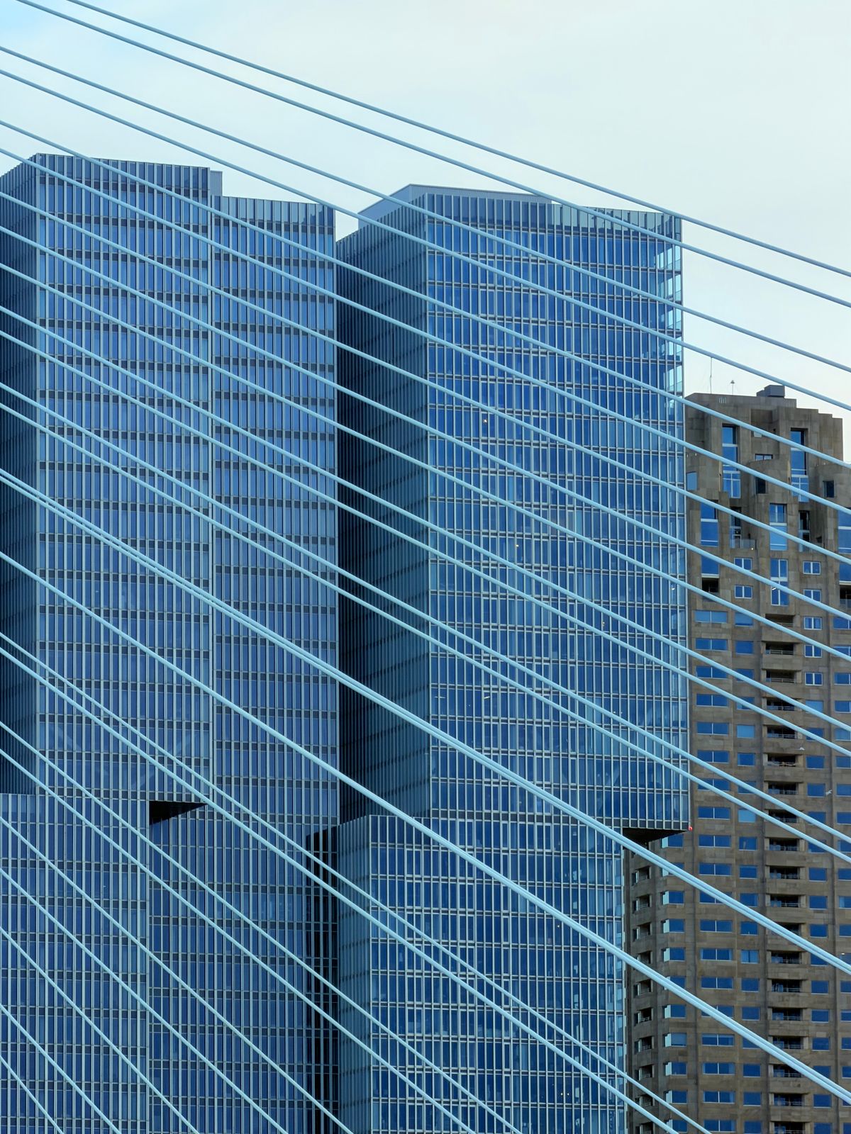 Skyline van Rotterdam met de kabels van de Erasmusbrug, symbool voor het werkgebied van Rivierduin Consultancy in de Randstad