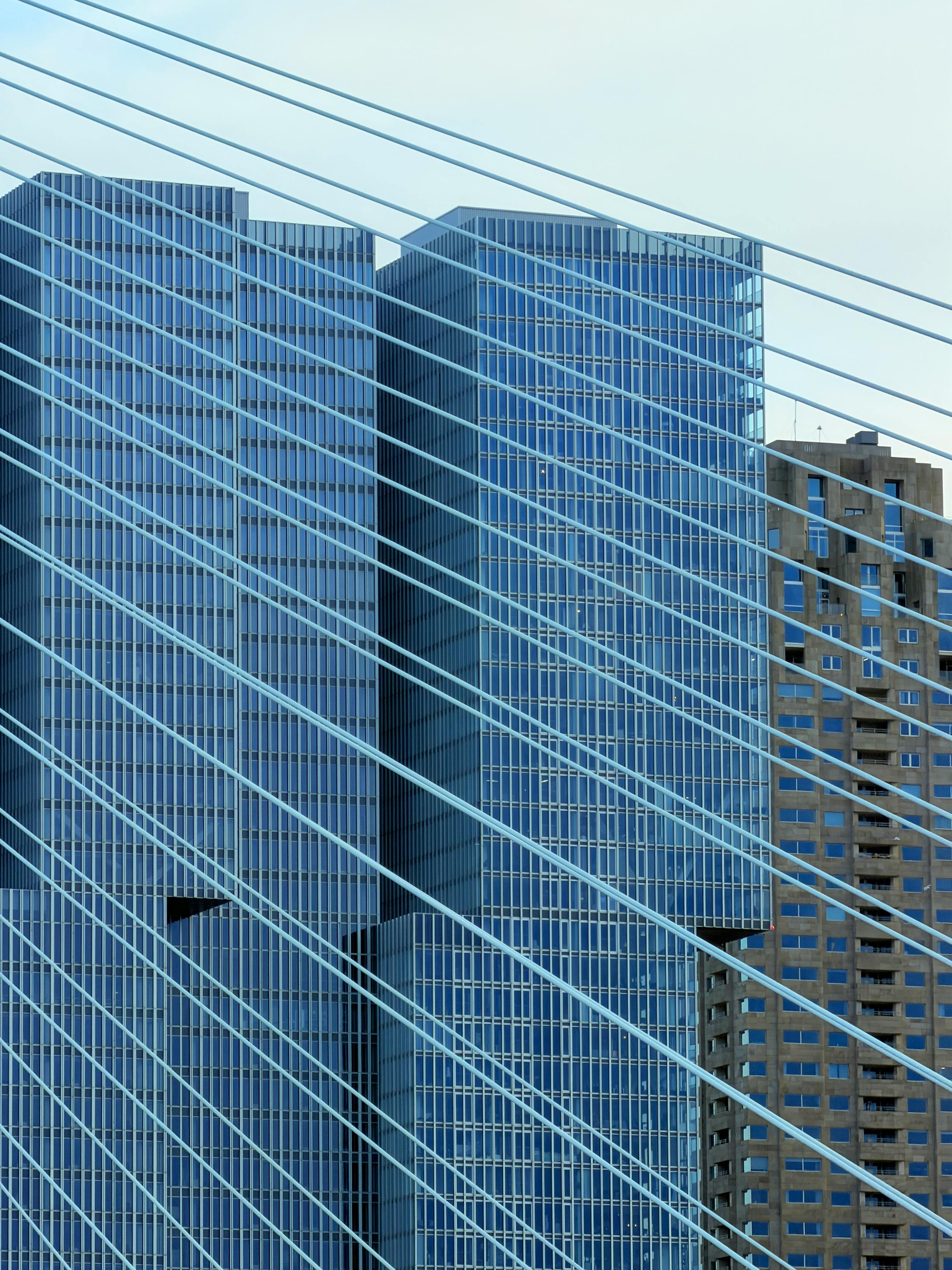 ingyenes Lenyűgöző kilátás Rotterdam látképére, előtérben az Erasmus híd kábeleivel. Stockfotó