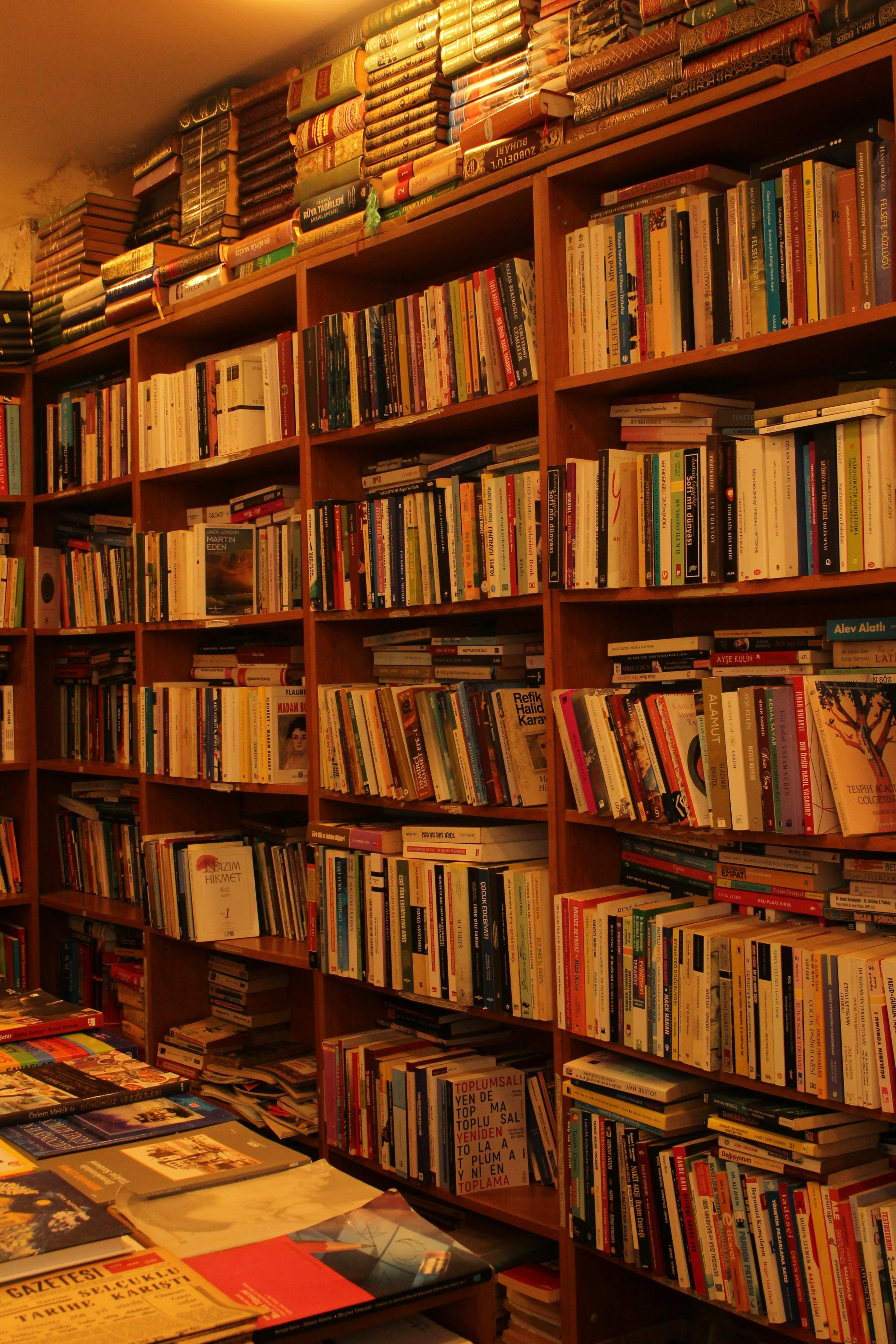 бесплатная Уютный и располагающий к отдыху книжный магазин с деревянными полками, заполненными книгами, и разнообразным ассортиментом представленных книг. Стоковое фото