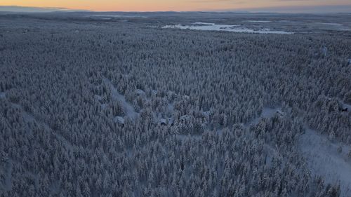 Free A breathtaking aerial view capturing a snow-covered forest landscape at dusk, showcasing nature's winter beauty. Stock Photo