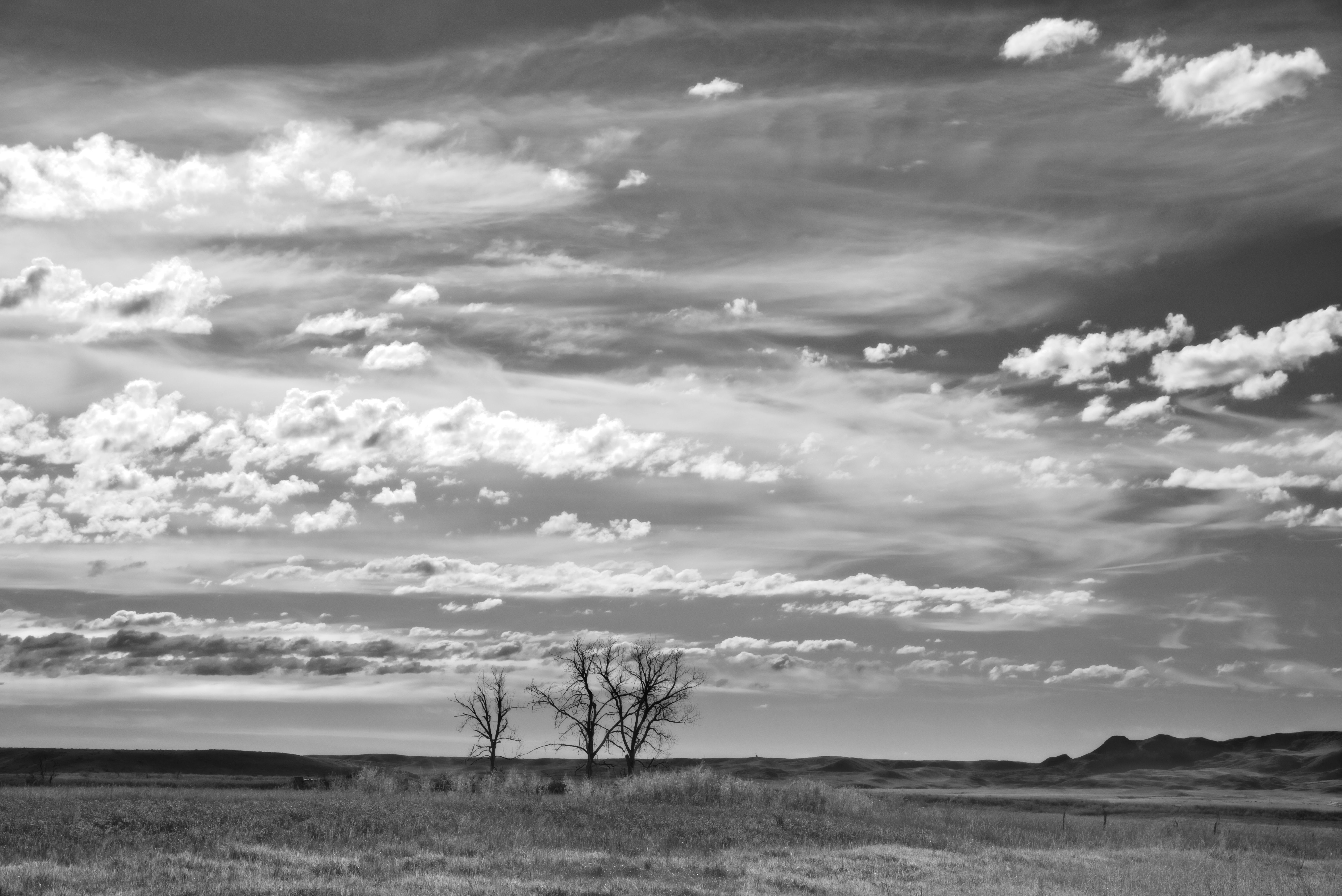 Black and White Landscape with Dramatic Clouds · Free Stock Photo