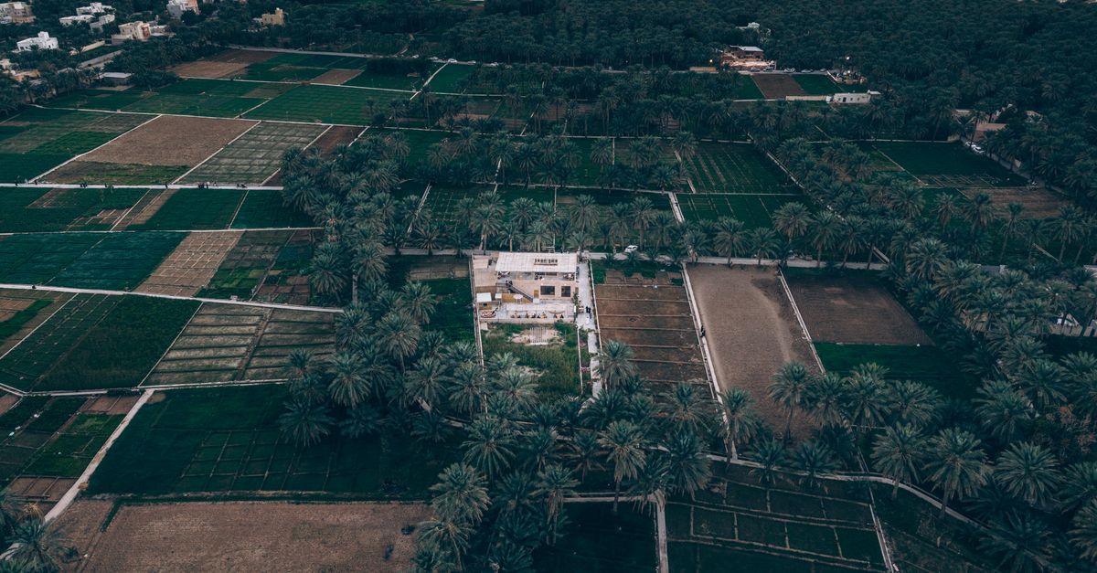Khalifa University Unveils AI Farm Tech to Boost UAE Food Security