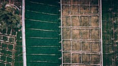Aerial View of Contrasting Farmland in Oman