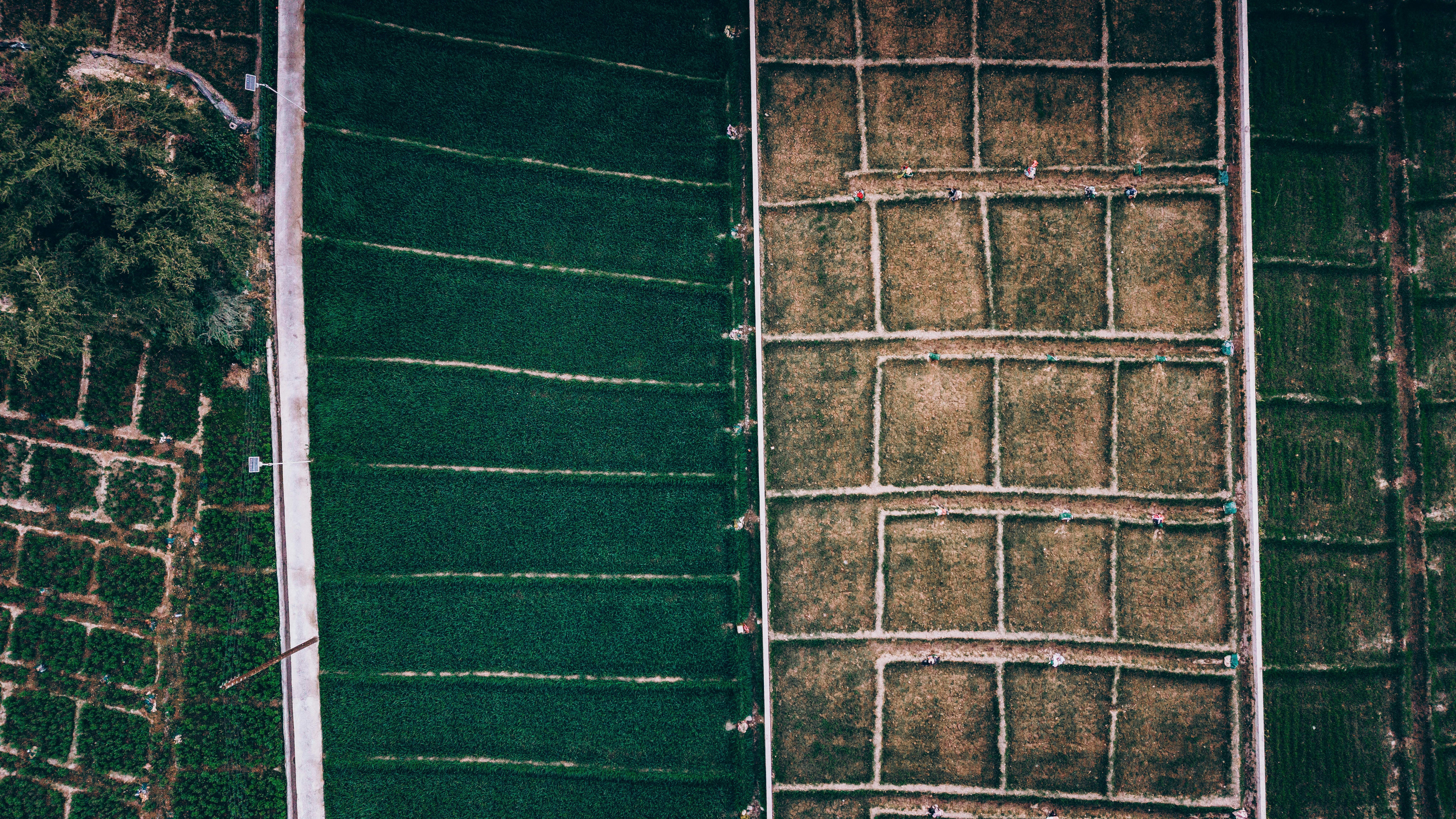 Zadarmo Úžasný letecký pohľad na sviežu zelenú a suchú poľnohospodársku pôdu, ktorý ukazuje rozmanité poľnohospodárske vzorce v Ománe. Fotka z fotobanky