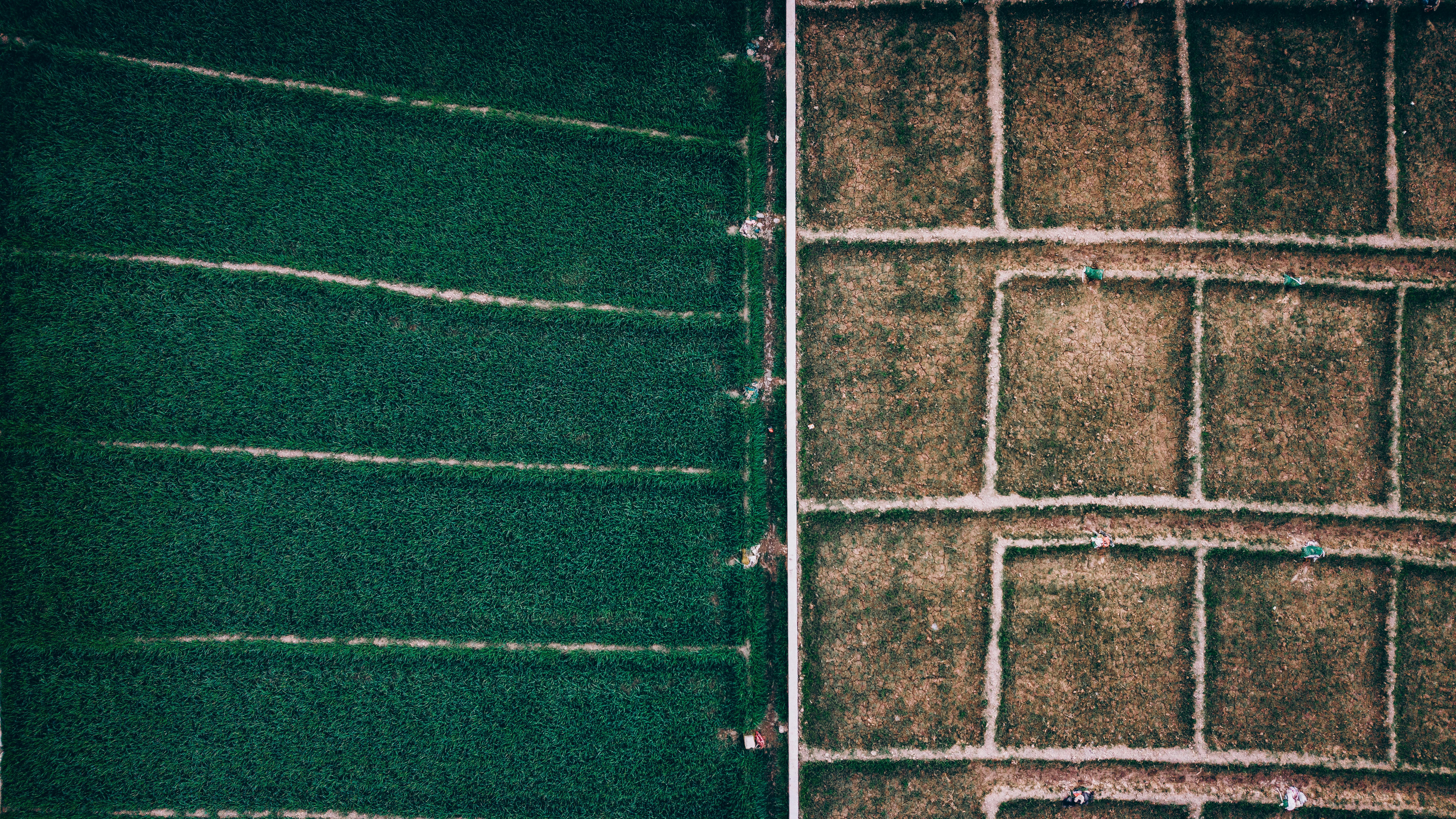 Gratis Foto stok gratis 4k drone, agrikultura, alam Foto Stok