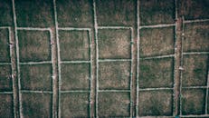 Drone Aerial View of Farmers Working in Green Field