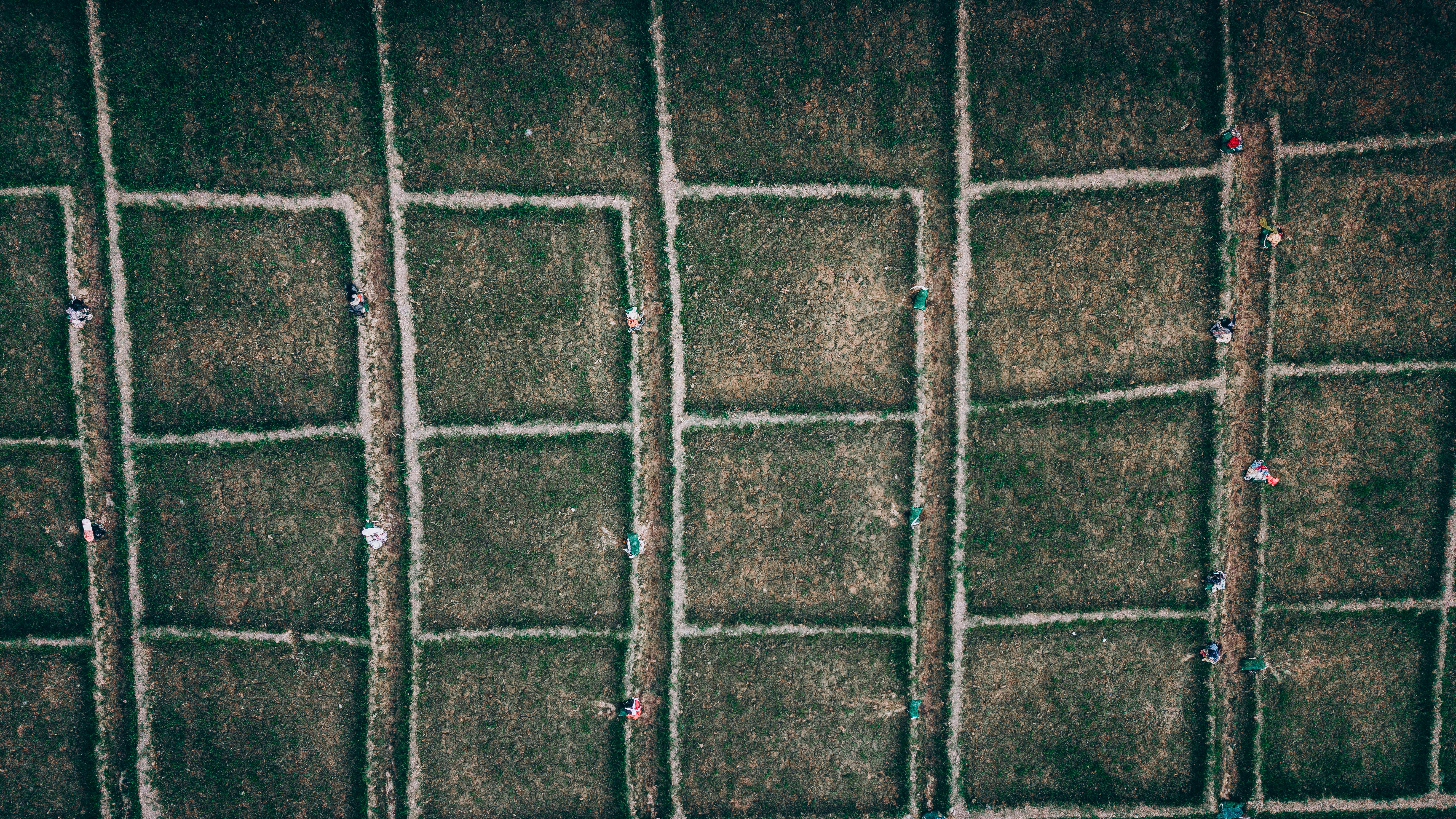 grátis Imagem aérea feita por drone capturando agricultores trabalhando em um campo agrícola. Vista de cima para baixo dos padrões agrícolas. Foto profissional