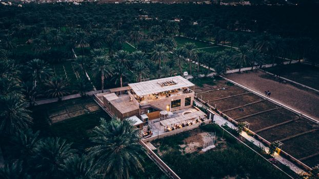 Explore a stunning oasis restaurant amidst palm groves in Oman, captured in a serene aerial shot.