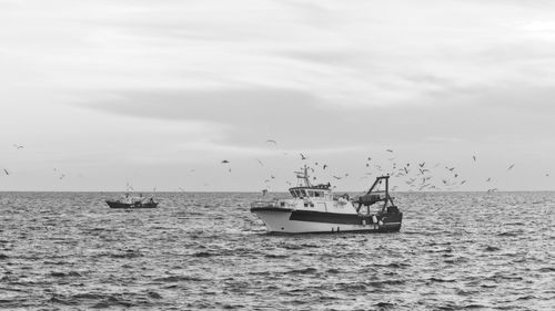Free Black and white photo of fishing boats with seagulls on a calm sea. Stock Photo