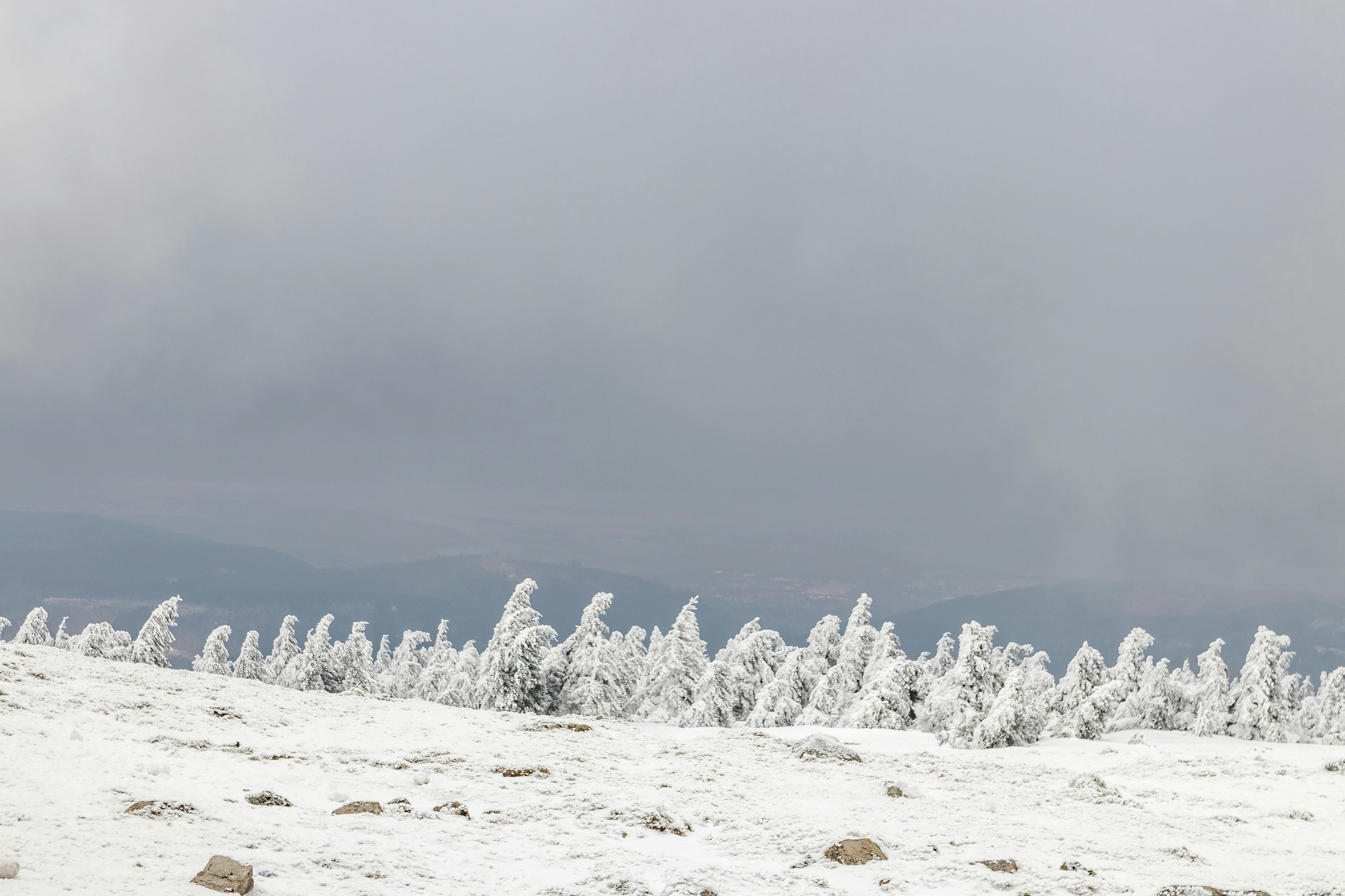 Δωρεάν Ένα γαλήνιο χειμωνιάτικο σκηνικό με χιονισμένα δέντρα σε ένα ήσυχο τοπίο που περιβάλλεται από έναν συννεφιασμένο ουρανό. Φωτογραφία από στοκ φωτογραφιών