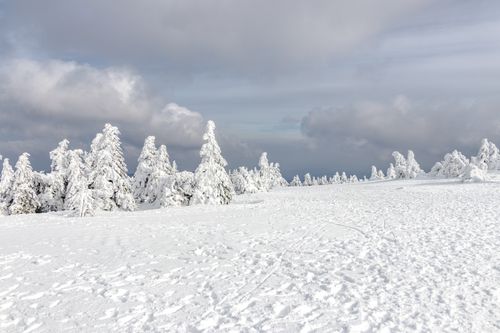 Free Serene winter scene of snow-covered trees and landscape under a cloudy sky. Stock Photo