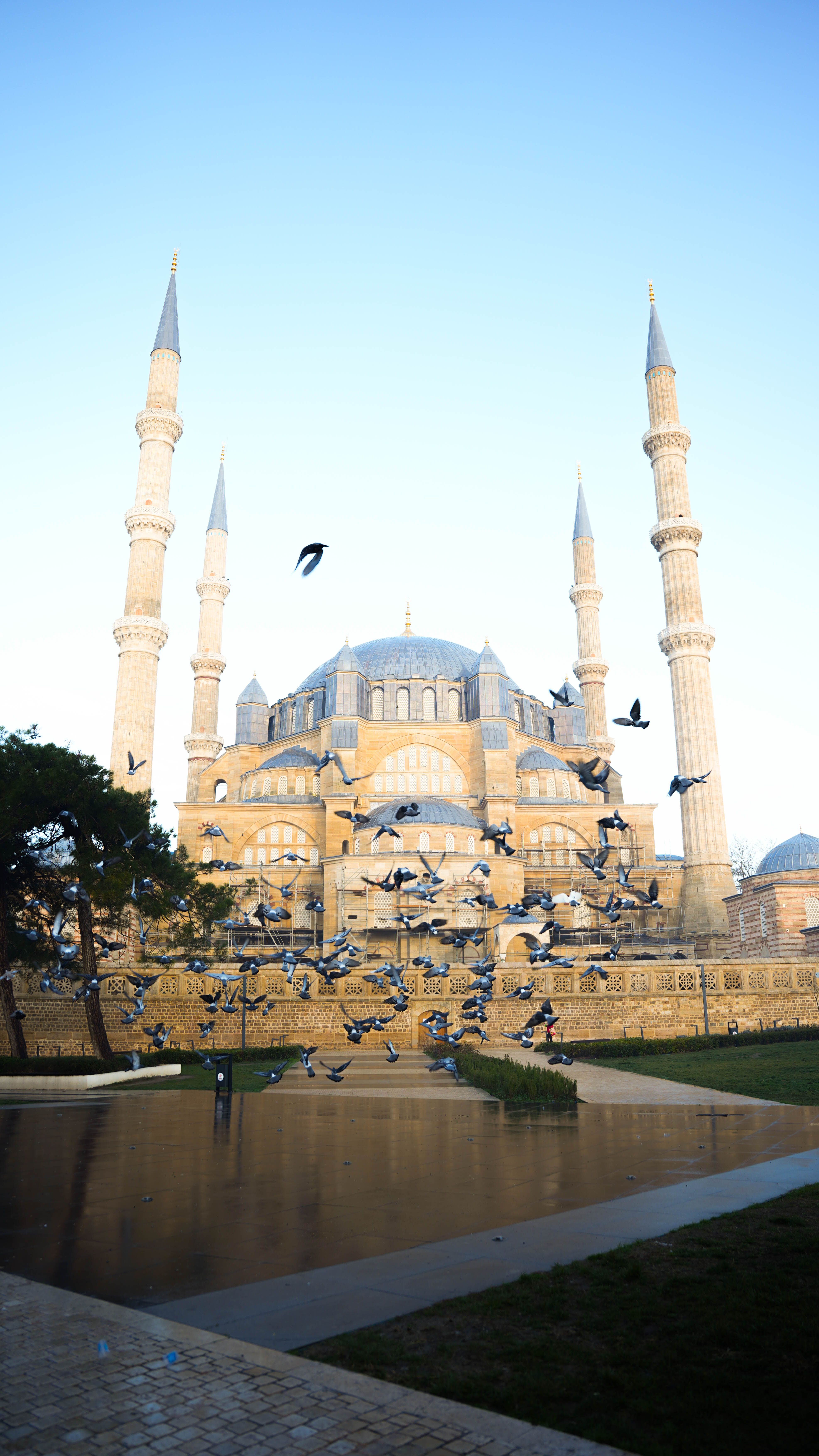 A stunning view of Selimiye Mosque in Edirne, Turkey with a flock of birds in flight.