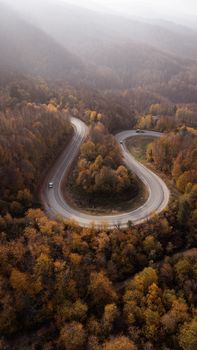 Aerial view of a winding road through a vibrant autumn forest. Perfect for nature and travel themes.