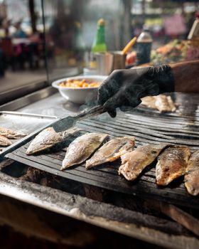 Flounder Fish