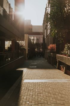 Sunlit urban alley with architectural details, plants, and soft shadows, evoking a serene afternoon city ambiance.