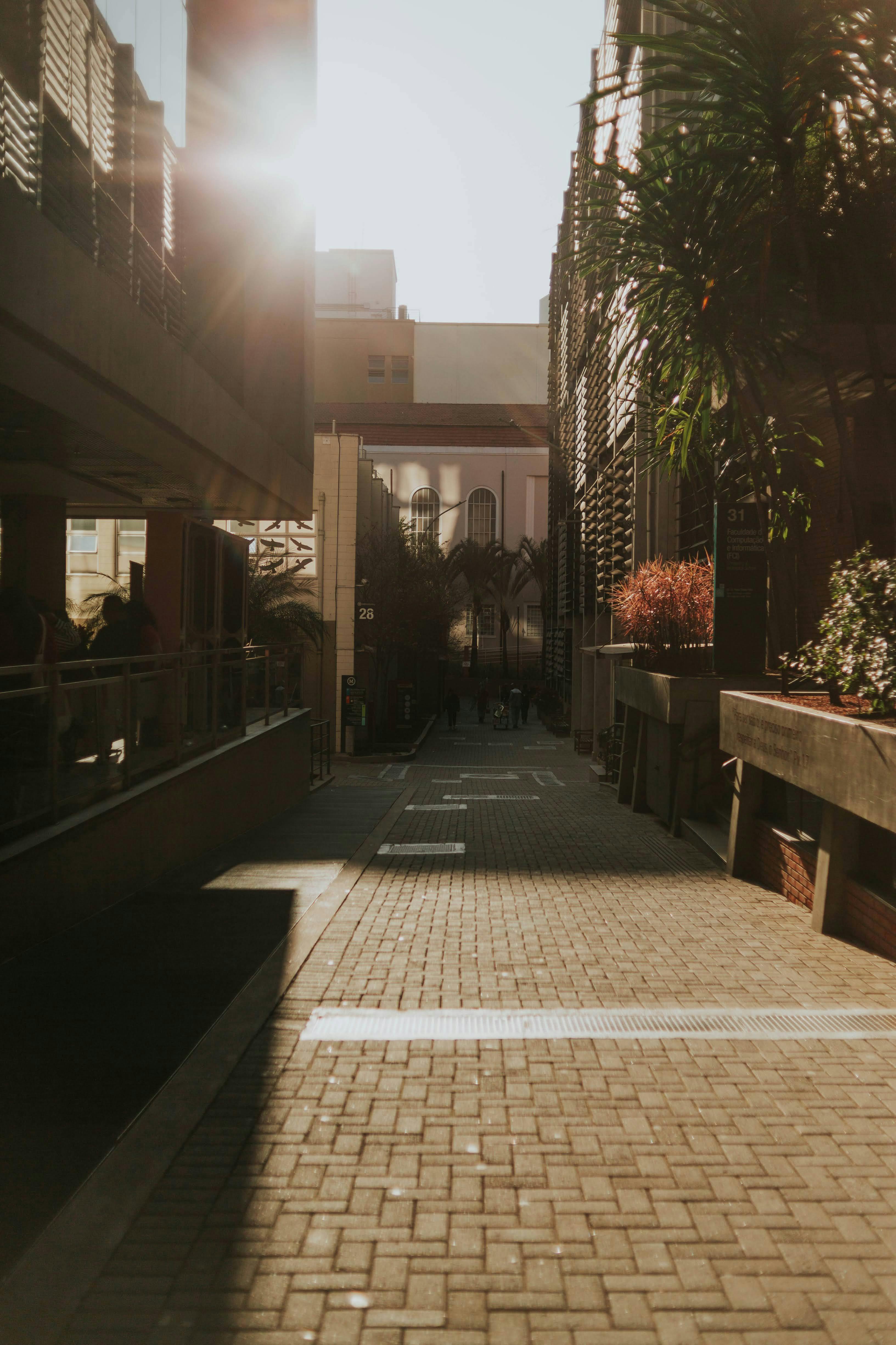 Gratis Callejón urbano iluminado por el sol con detalles arquitectónicos, plantas y sombras suaves, que evocan un ambiente sereno de ciudad por la tarde. Foto de stock