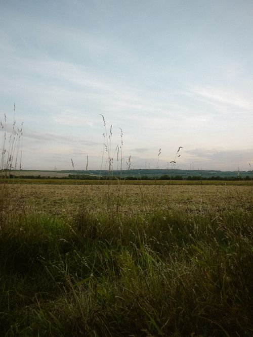 Free A peaceful rural scene with a grassy field under a soft evening sky, conveying calm and serenity. Stock Photo