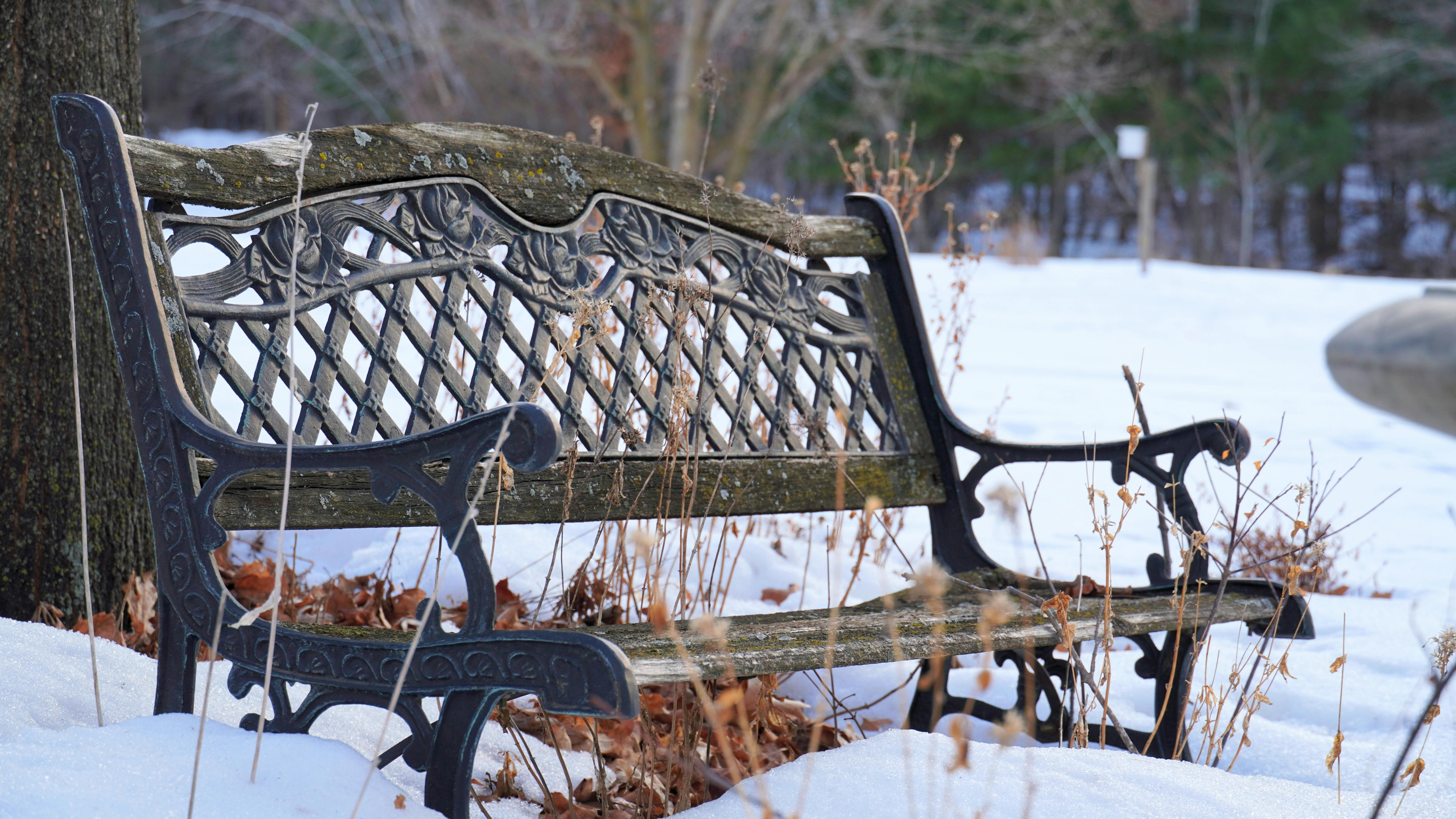Miễn phí Một chiếc ghế dài bằng kim loại được trang trí công phu, bao quanh bởi tuyết trong một công viên yên tĩnh vào mùa đông. Ảnh lưu trữ