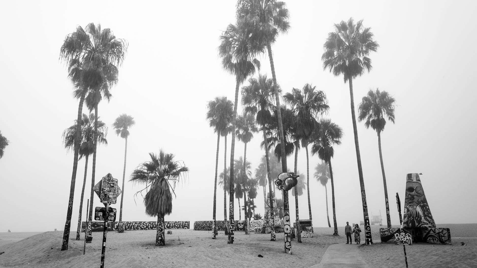 Misty morning view of palm trees and urban street art in Los Angeles, evoking the city's atmosphere in the 1940s.