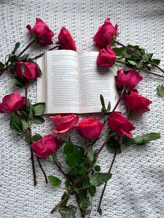 Open Book Frame With Roses Open Book Surrounded by Vibrant Red Roses · Free Stock Photo