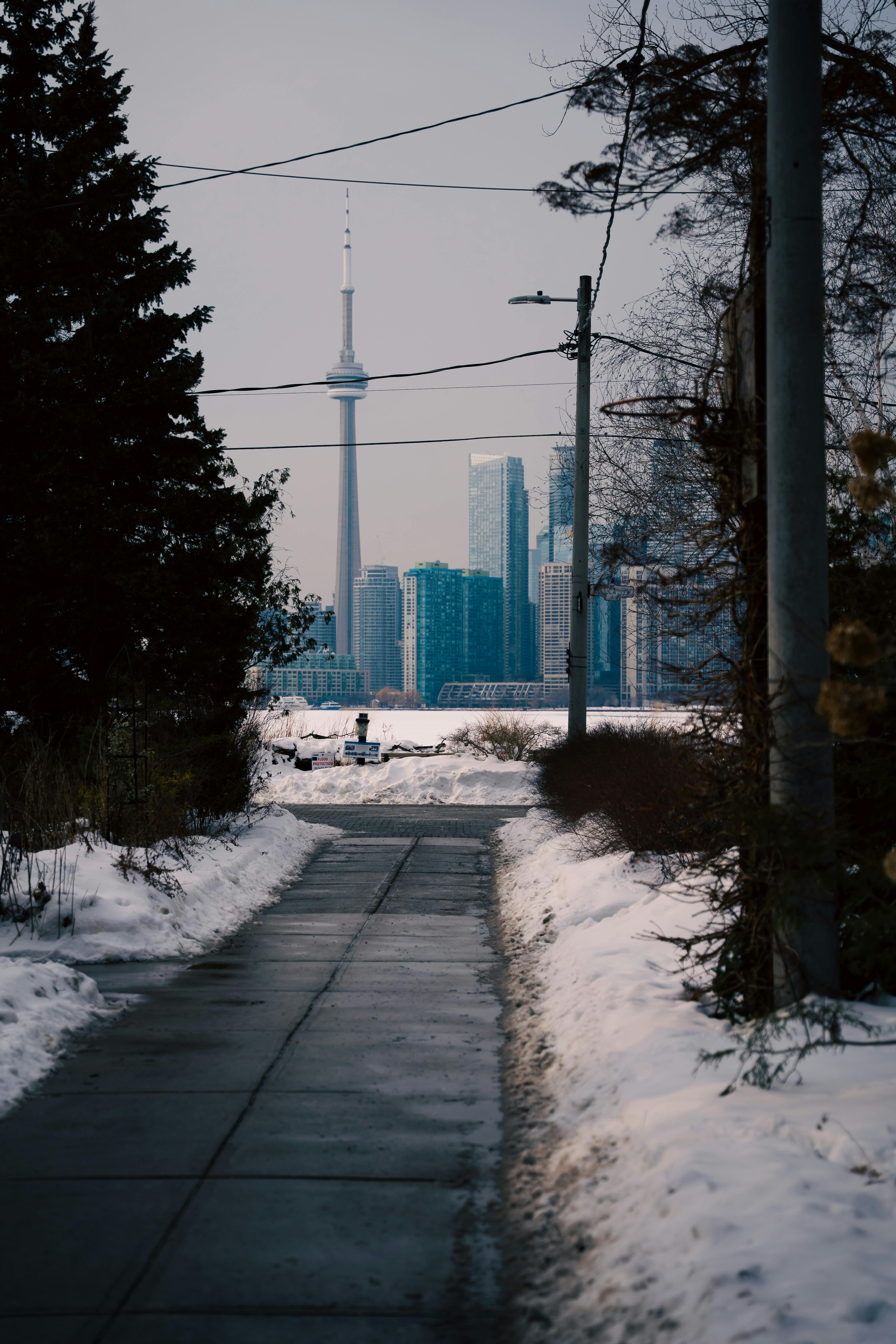 ingyenes Festői kilátás Toronto látképére egy havas ösvényről, a CN-torony látható. Stockfotó