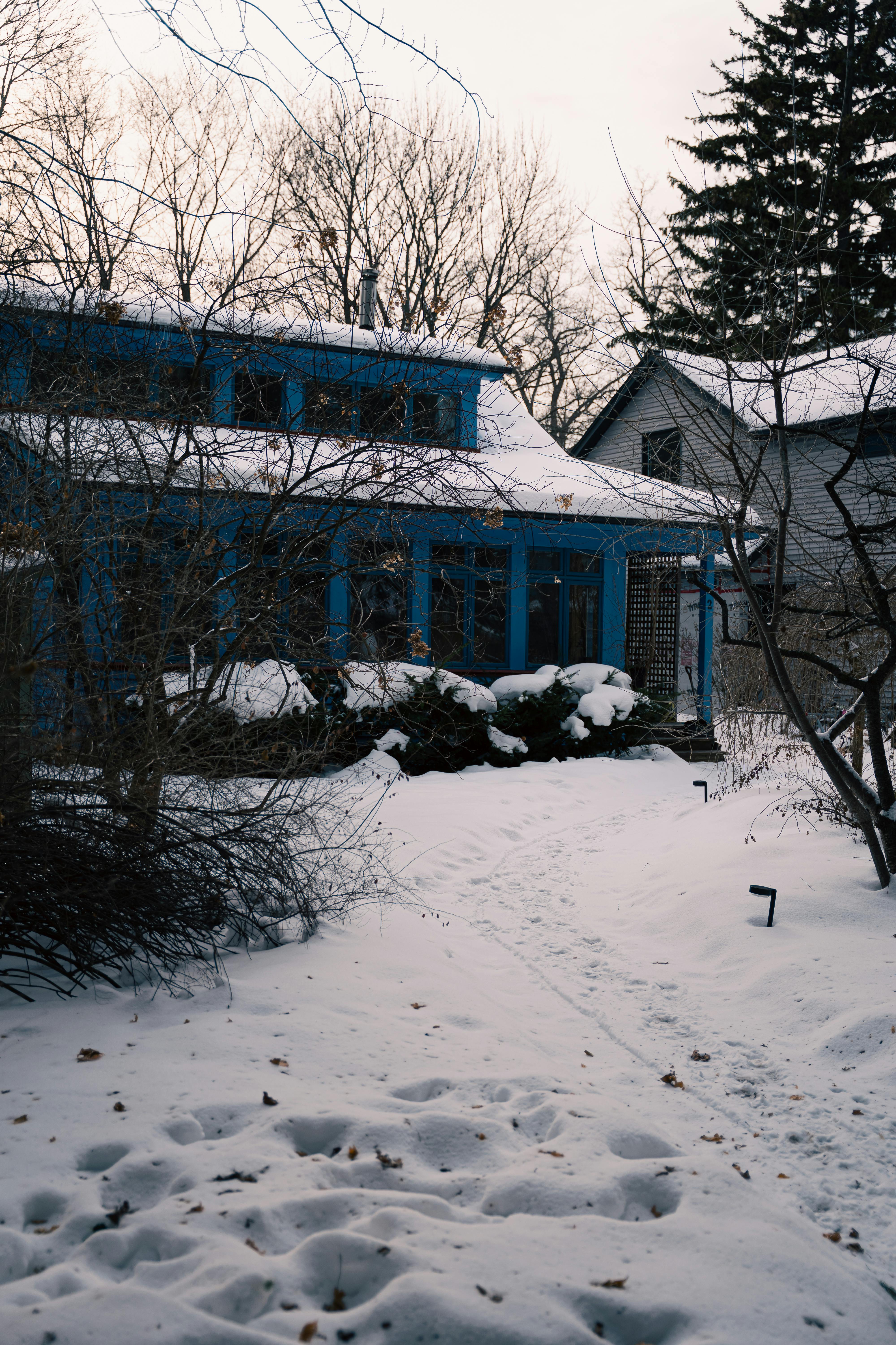 Ingyenes stockfotó @szabadtéri, befagyott, befagyott táj témában Stockfotó