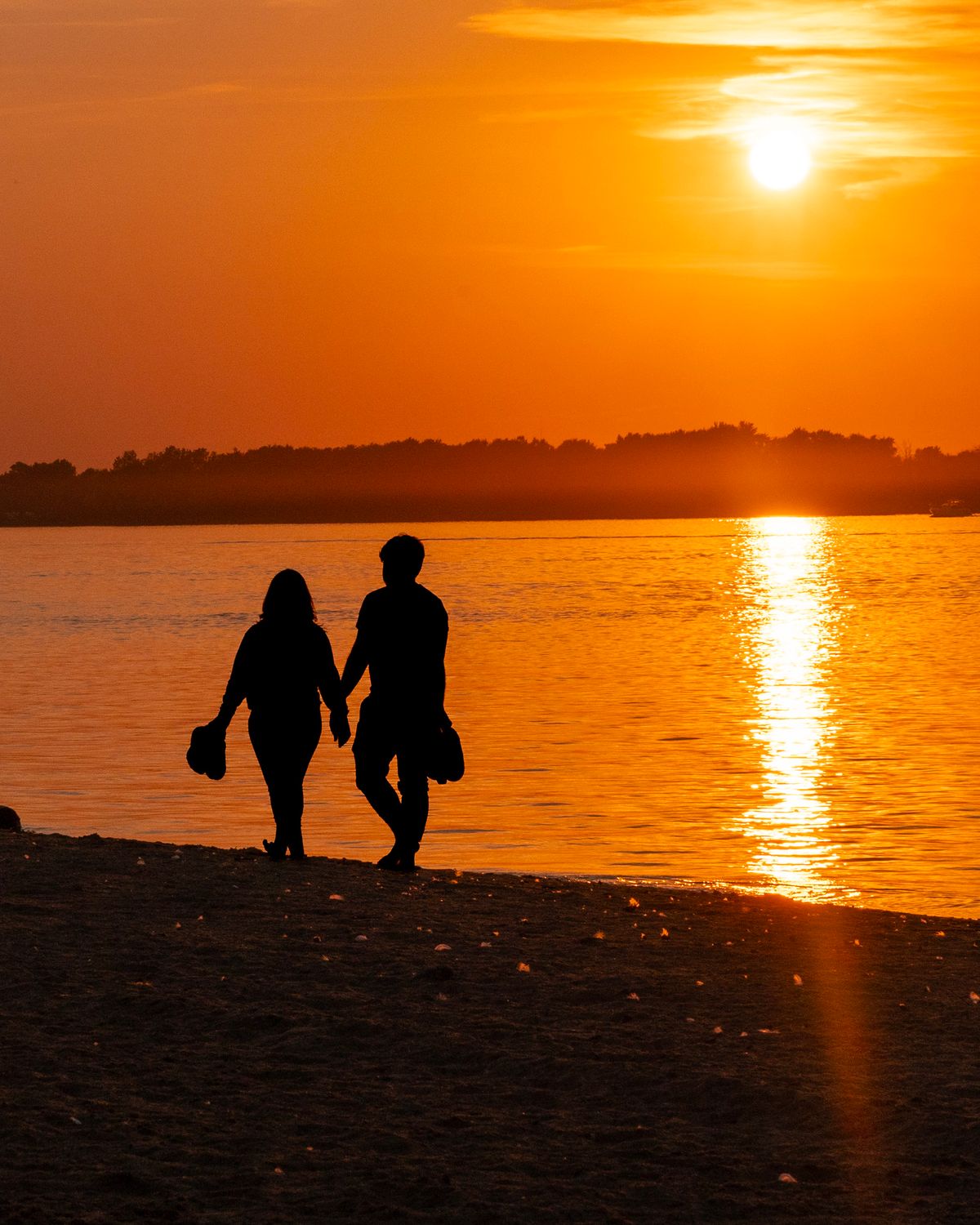 Silhouette of a Couple Holding Hands at a Beach · Free Stock Photo