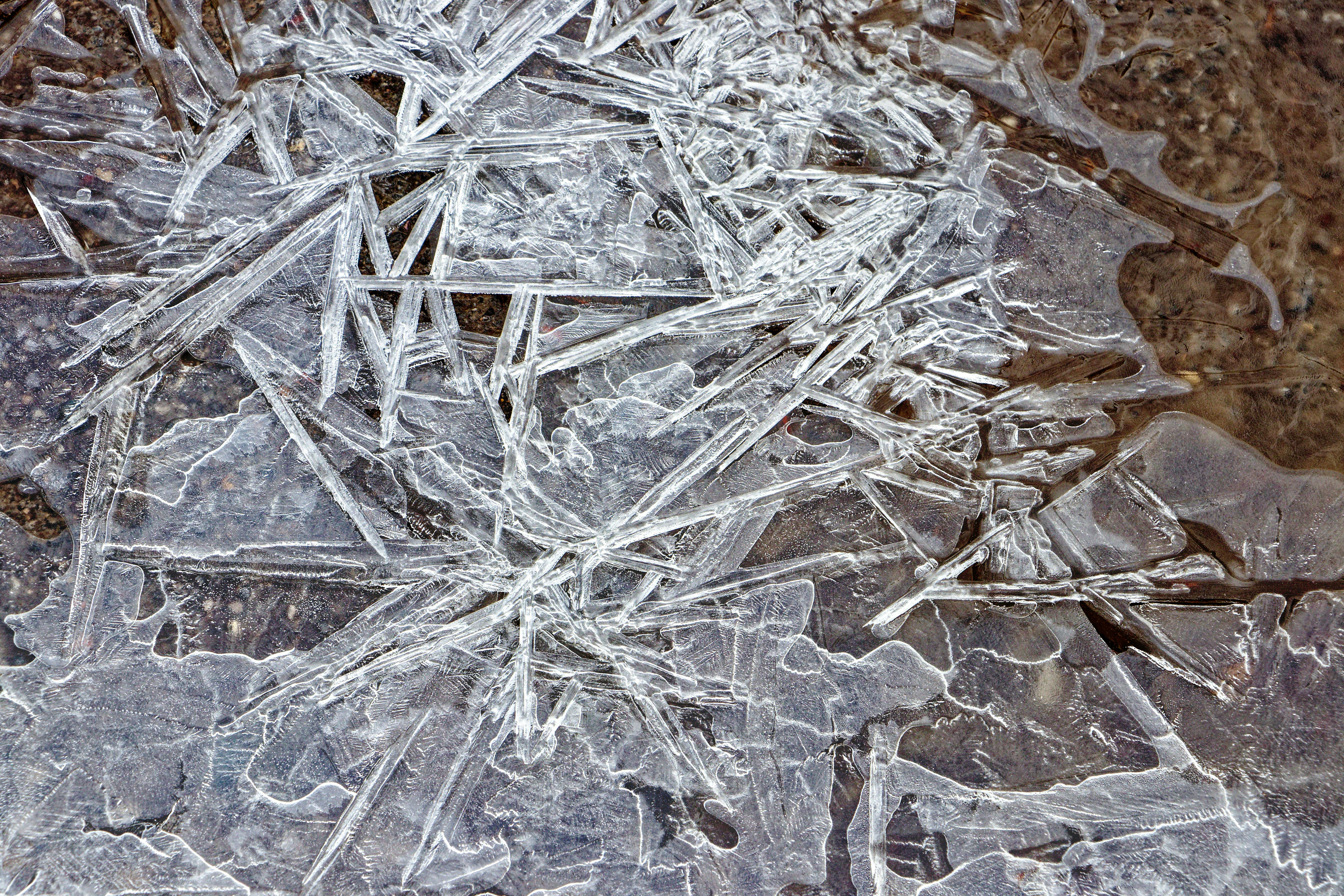 Kostenlos Auf einer gefrorenen Oberfläche in Invermere entstehen kunstvolle Eisformationen, die einzigartige Wintermuster bilden. Stock-Foto