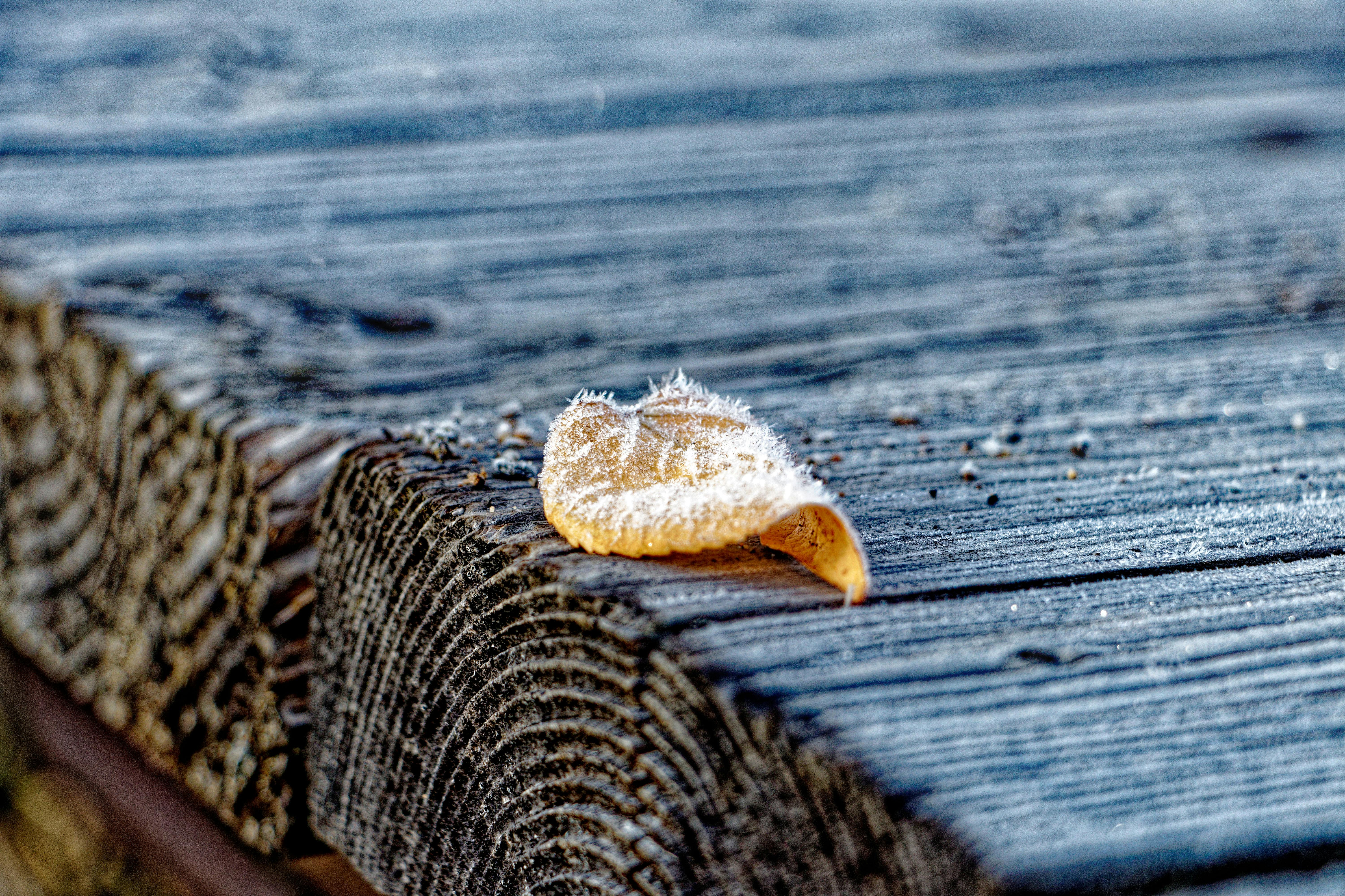 免费 不列颠哥伦比亚省, 冬季, 冰晶 的 免费素材图片 素材图片