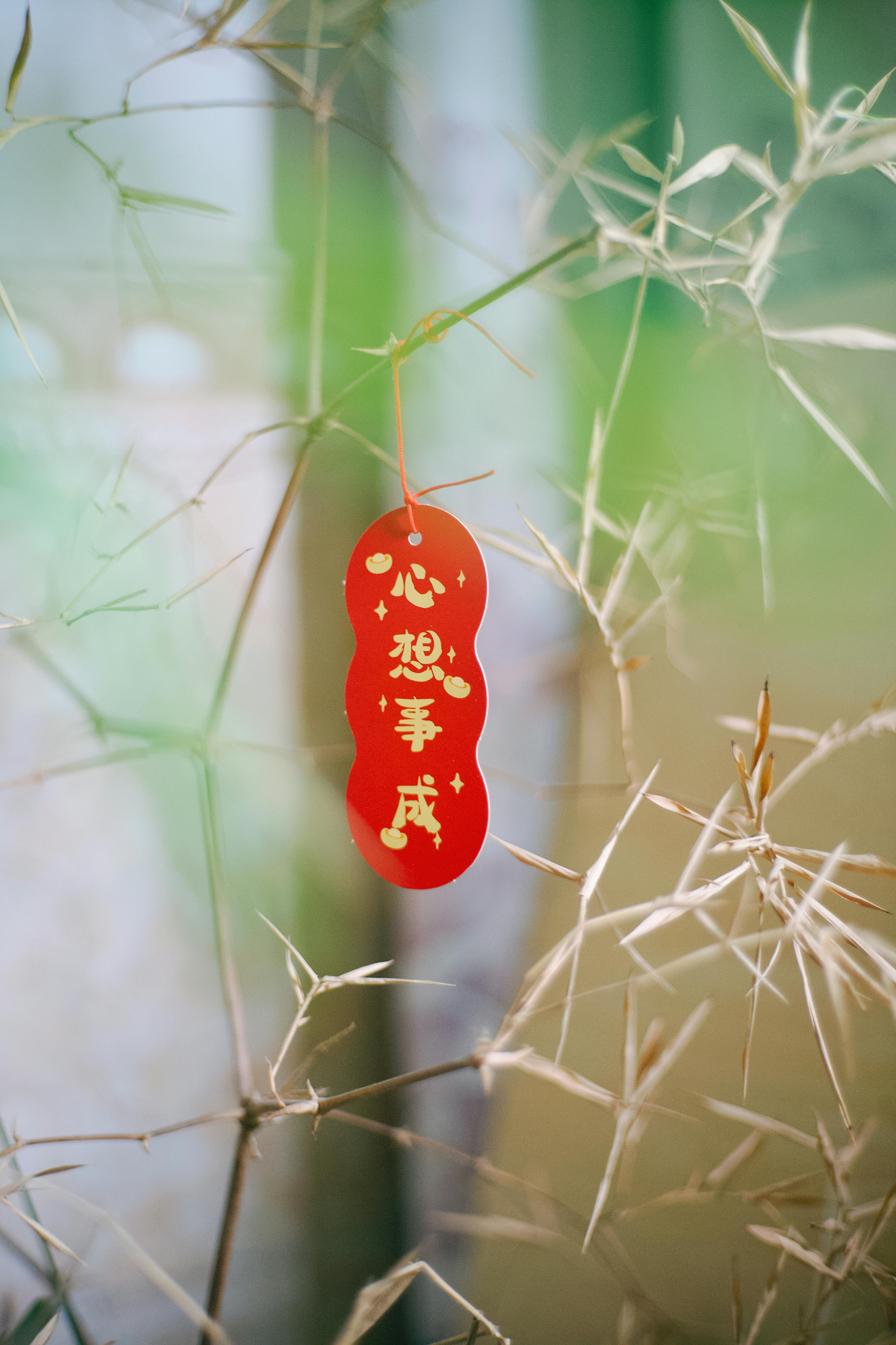 Δωρεάν Μια κόκκινη ετικέτα με χαρακτήρες κρεμασμένους σε ένα κλαδί μπαμπού. Εσωτερικό περιβάλλον. Φωτογραφία από στοκ φωτογραφιών