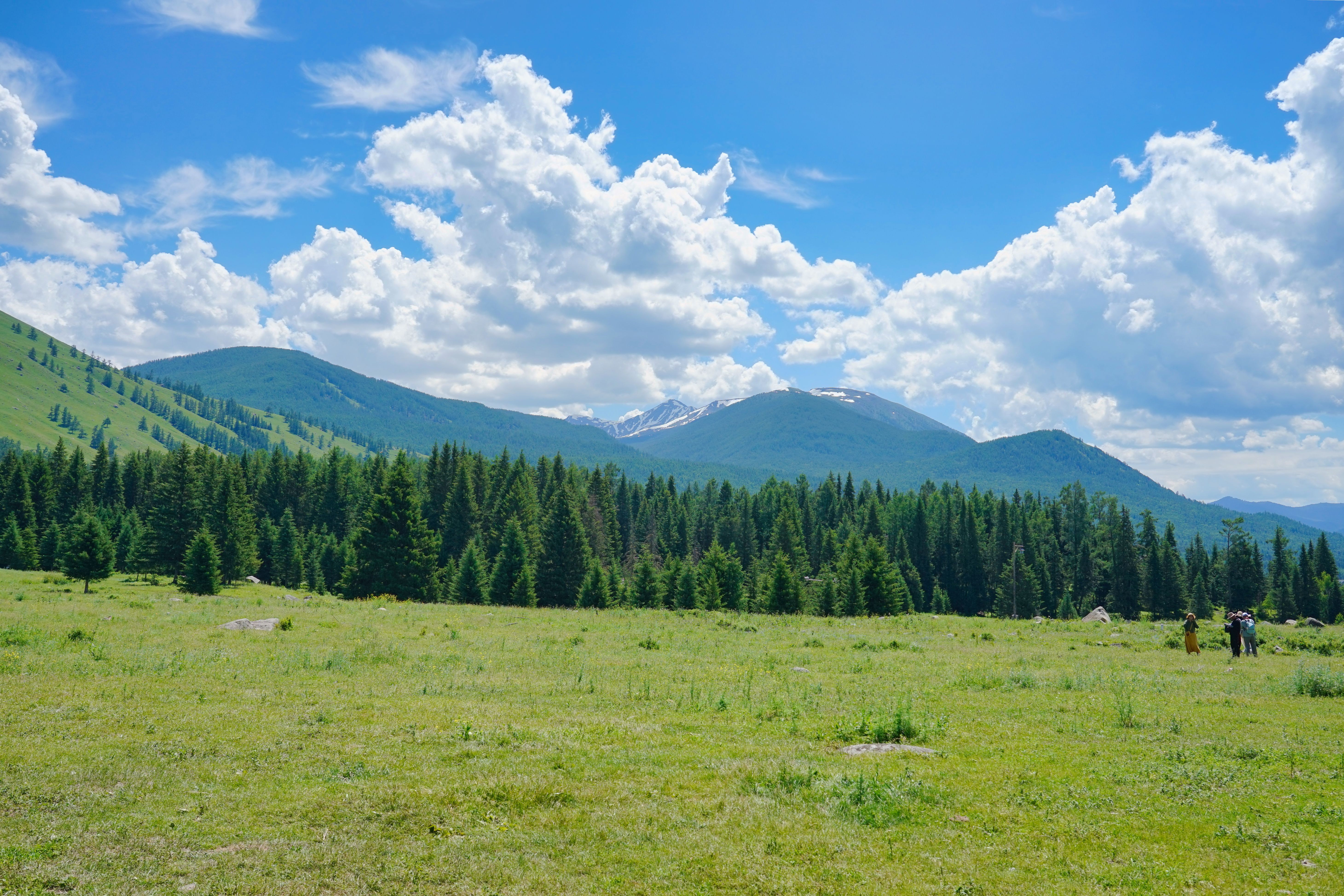 Pine Mountain field named for longtime youth sports coach — Photo by gang liang on Pexels