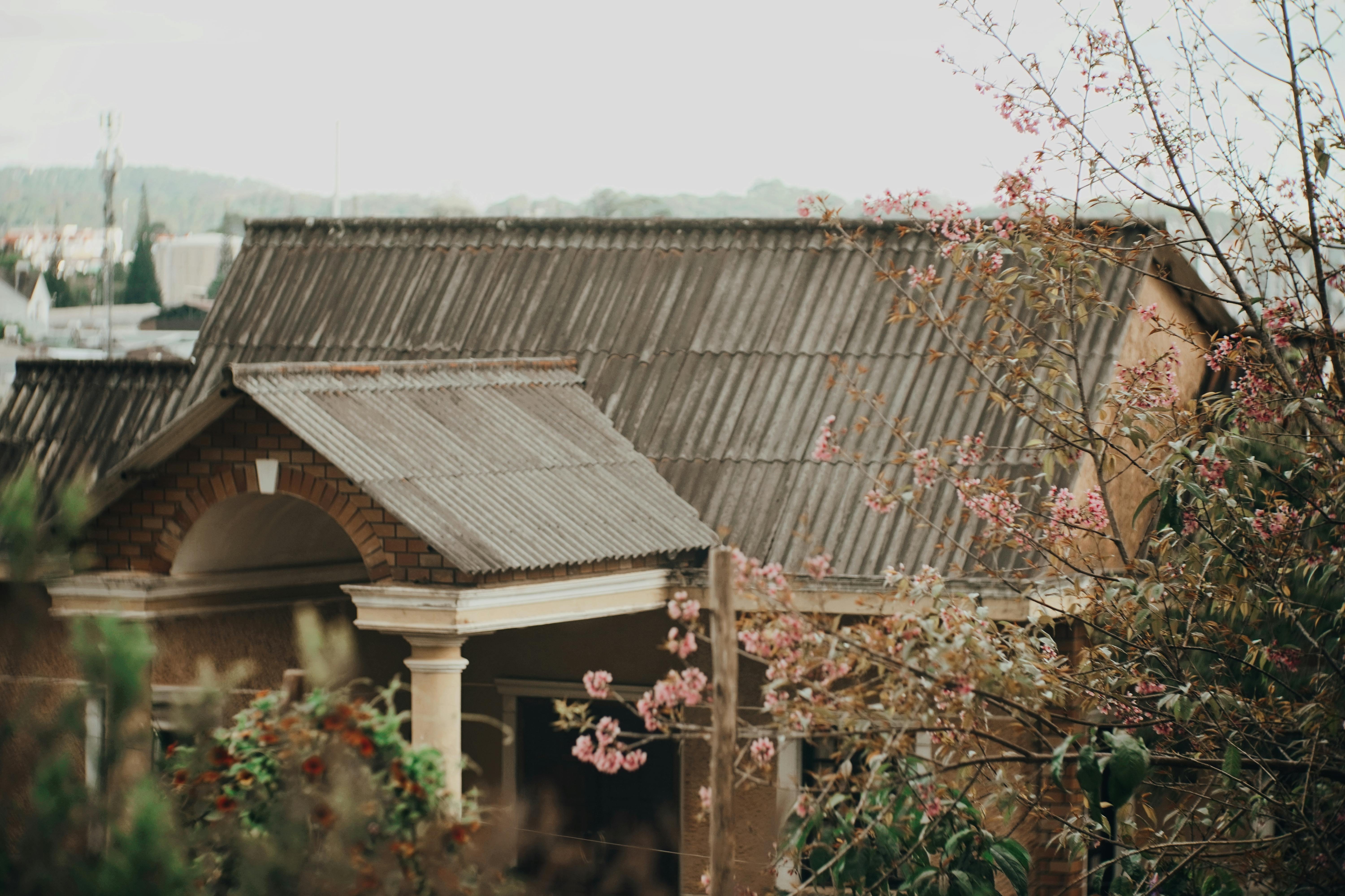 Ücretsiz Çiçek açmış ağaçlarla çevrili, oluklu çatılı rustik bir ev. Sakin ve pitoresk bir ortam. Stok Fotoğraflar