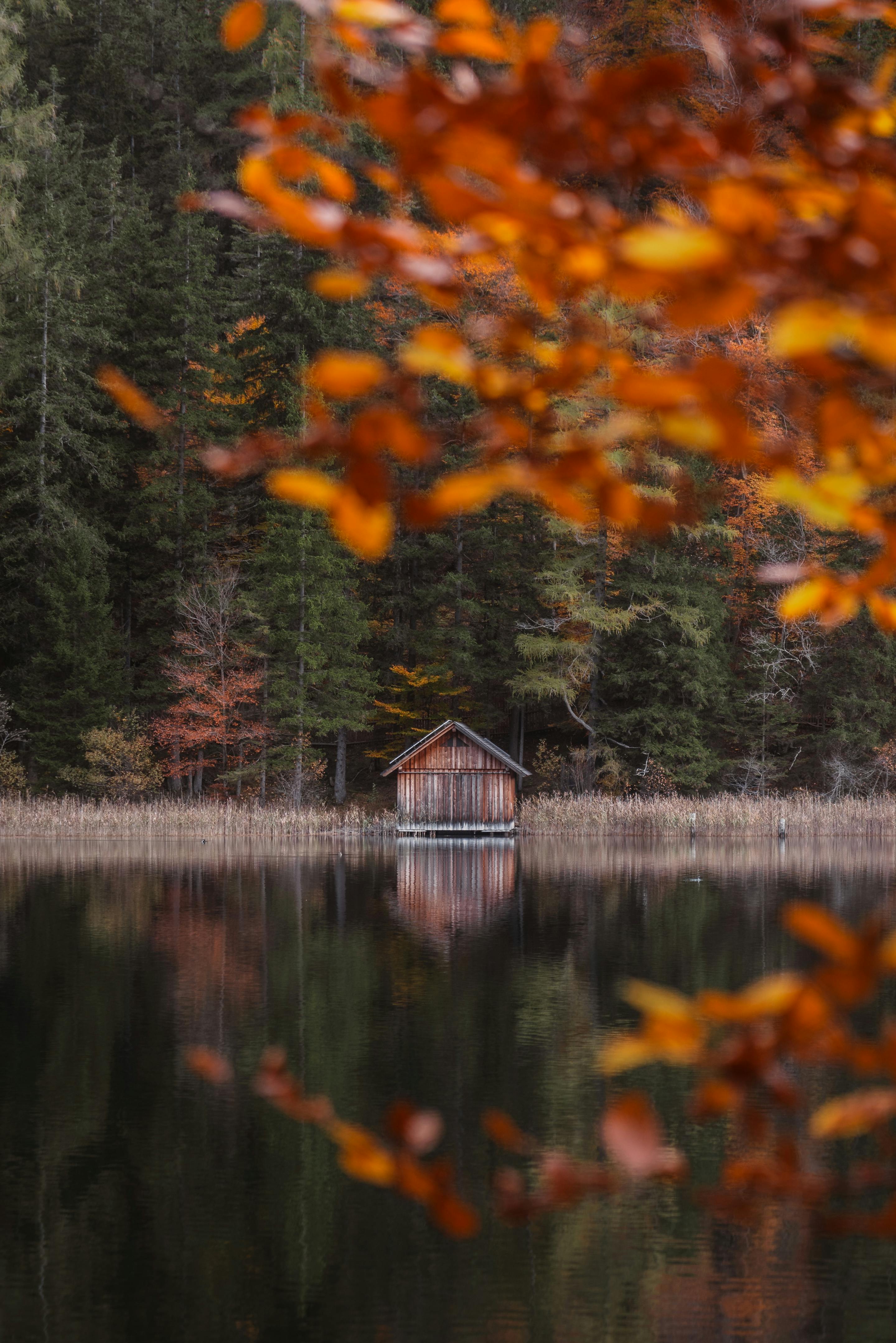 Δωρεάν στοκ φωτογραφιών με 4k, arka σχέδιο, fondo de pantalla Φωτογραφία από στοκ φωτογραφιών