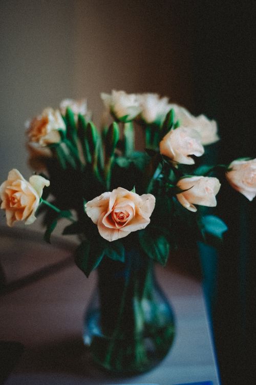 Free A charming bouquet of light peach roses elegantly arranged in a vase, captured with a soft focus. Stock Photo