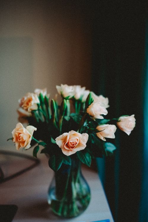 Free A soft-focus image of a colorful bouquet of peach roses elegantly arranged in a clear glass vase indoors. Stock Photo