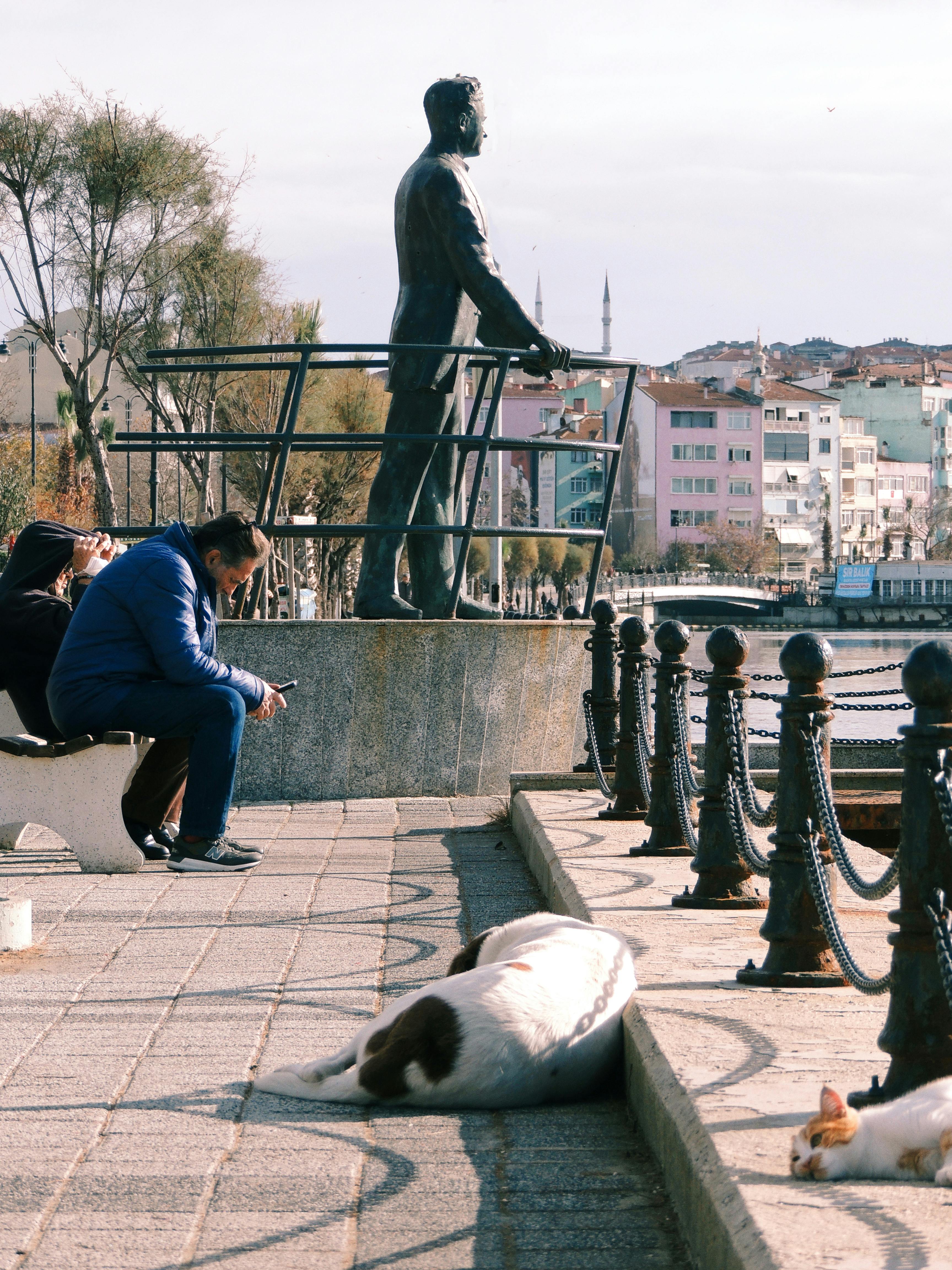 gratis Een vredig tafereel in Silivri, Istanbul, met een standbeeld, lokale bewoners en rustende straathonden. Stockfoto