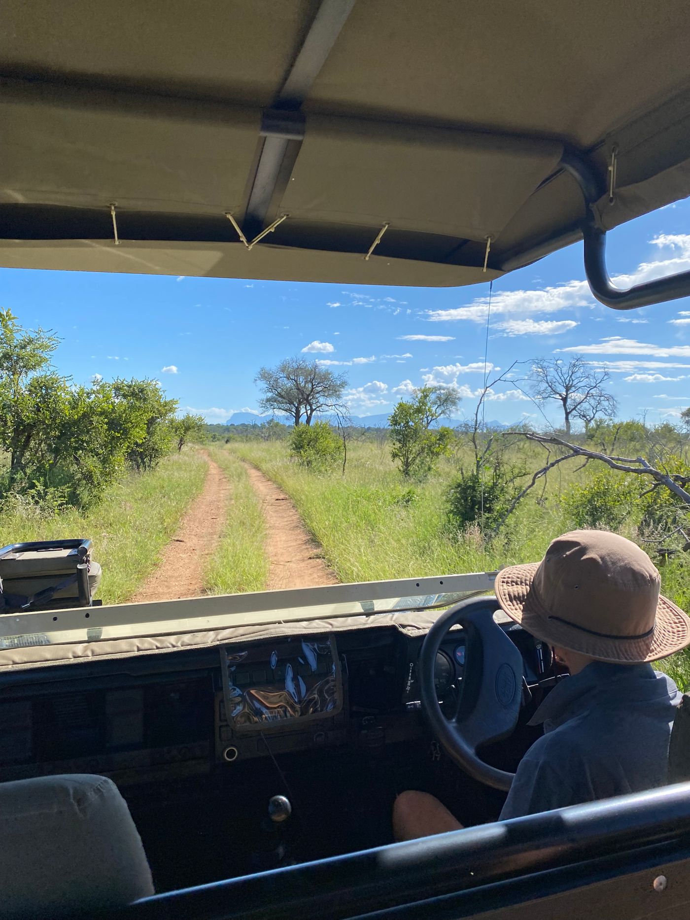 A guided open safari vehicle on a game drive in the Greater Kruger