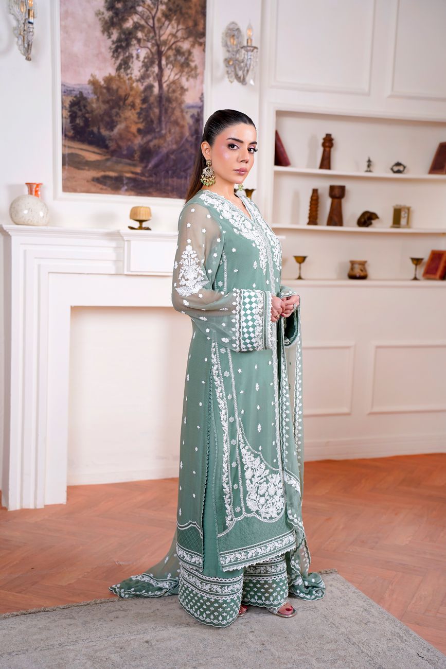 Green Embroidered Dress Beautifully Decorated