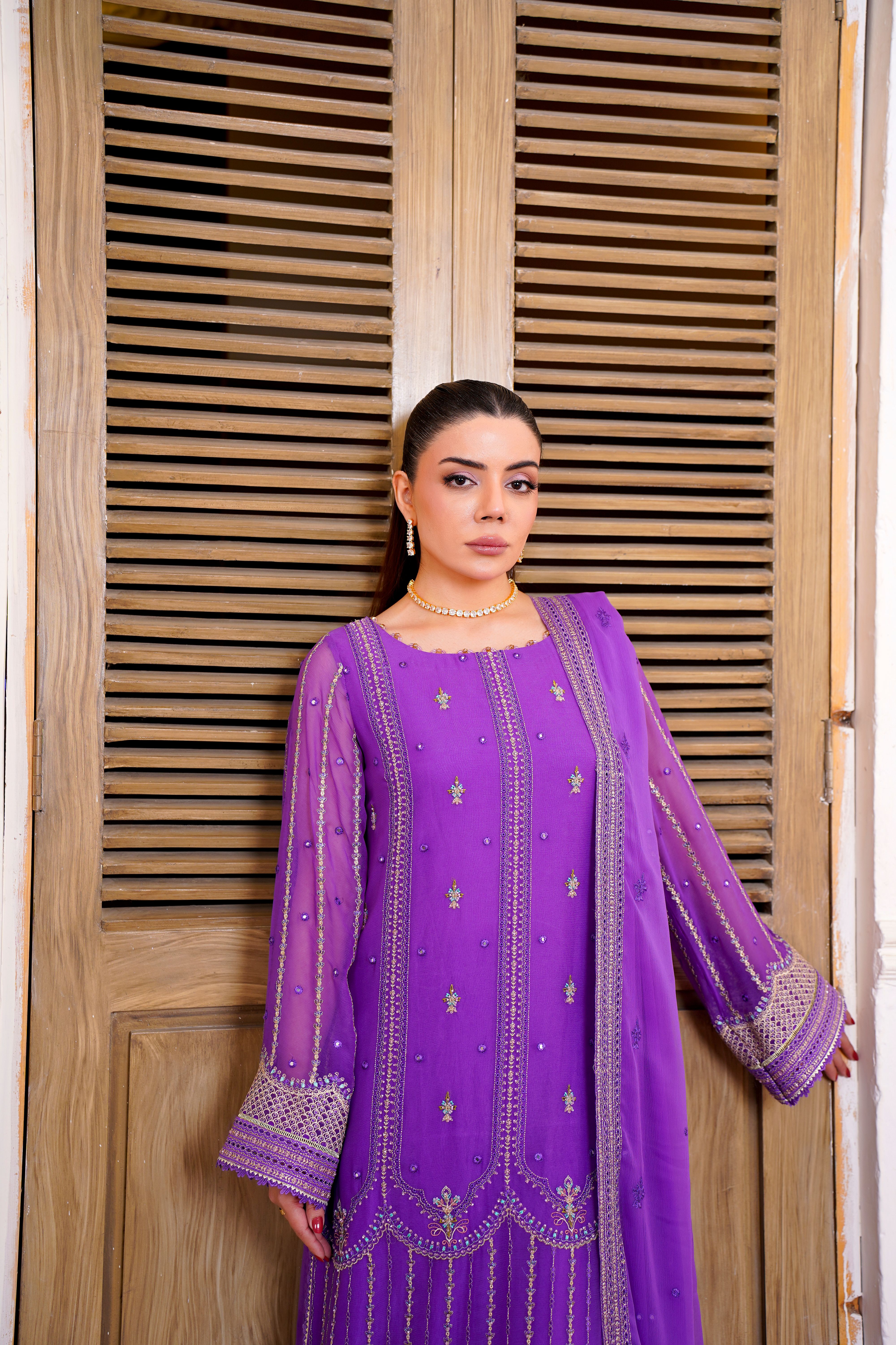 Elegant Traditional Purple Dress in Lahore Free Stock Photo Elegant Traditional Purple Dress in Lahore Free Stock Photo