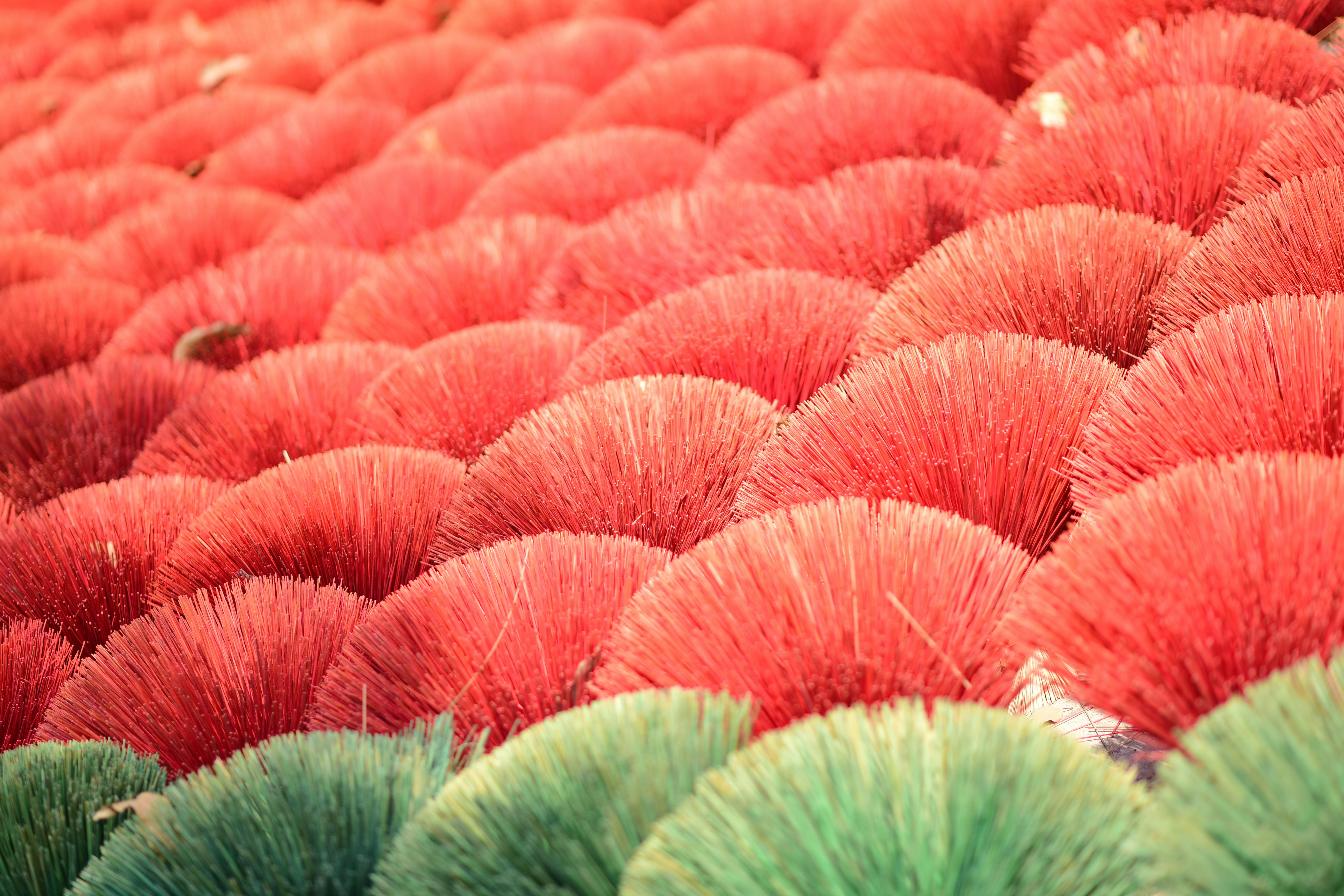 Miễn phí Những hàng que hương đủ màu sắc được xếp thẳng hàng để phơi khô, tạo nên một họa tiết sống động và tinh tế. Ảnh lưu trữ