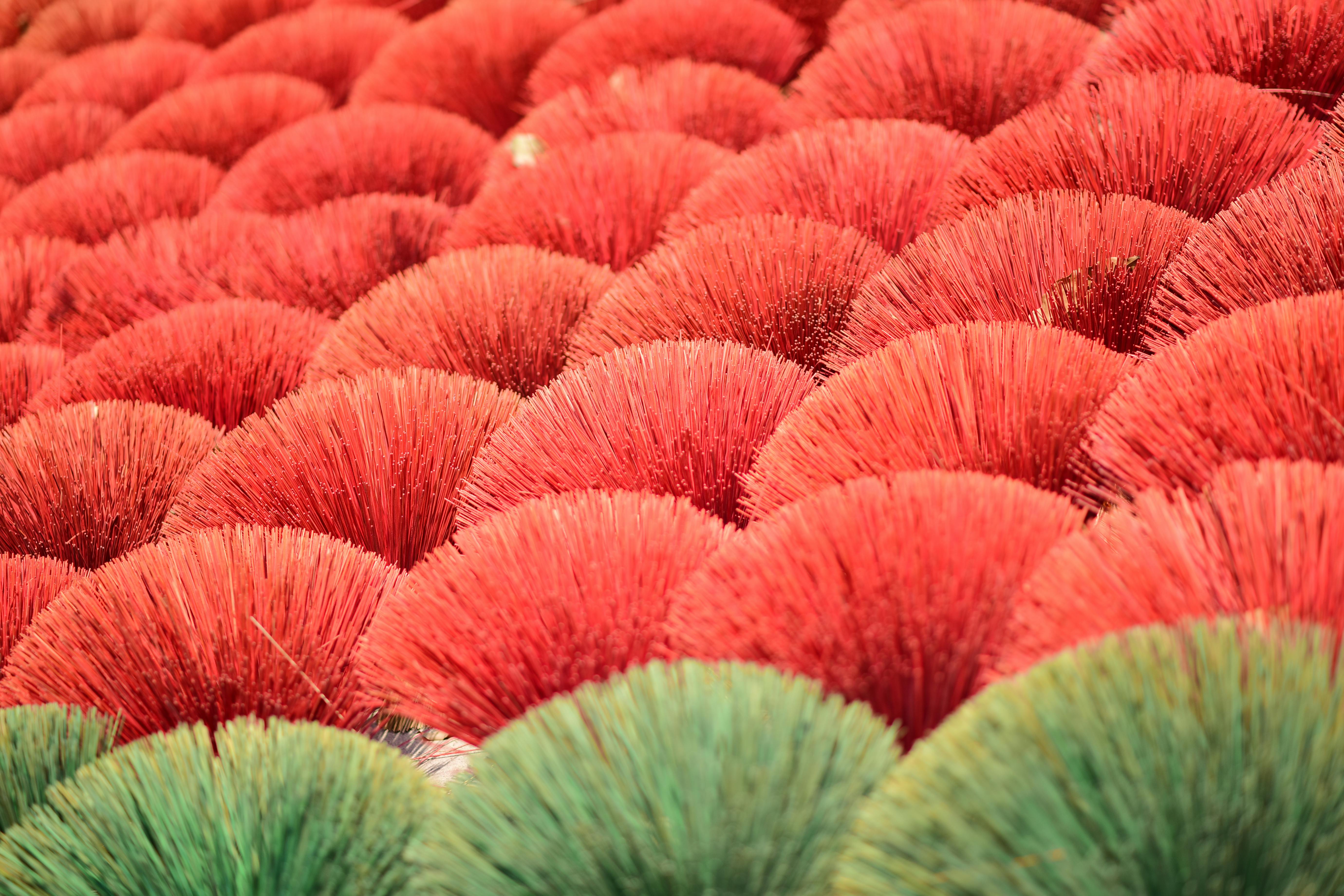 Abstract close-up of red and green incense sticks arranged neatly in rows.