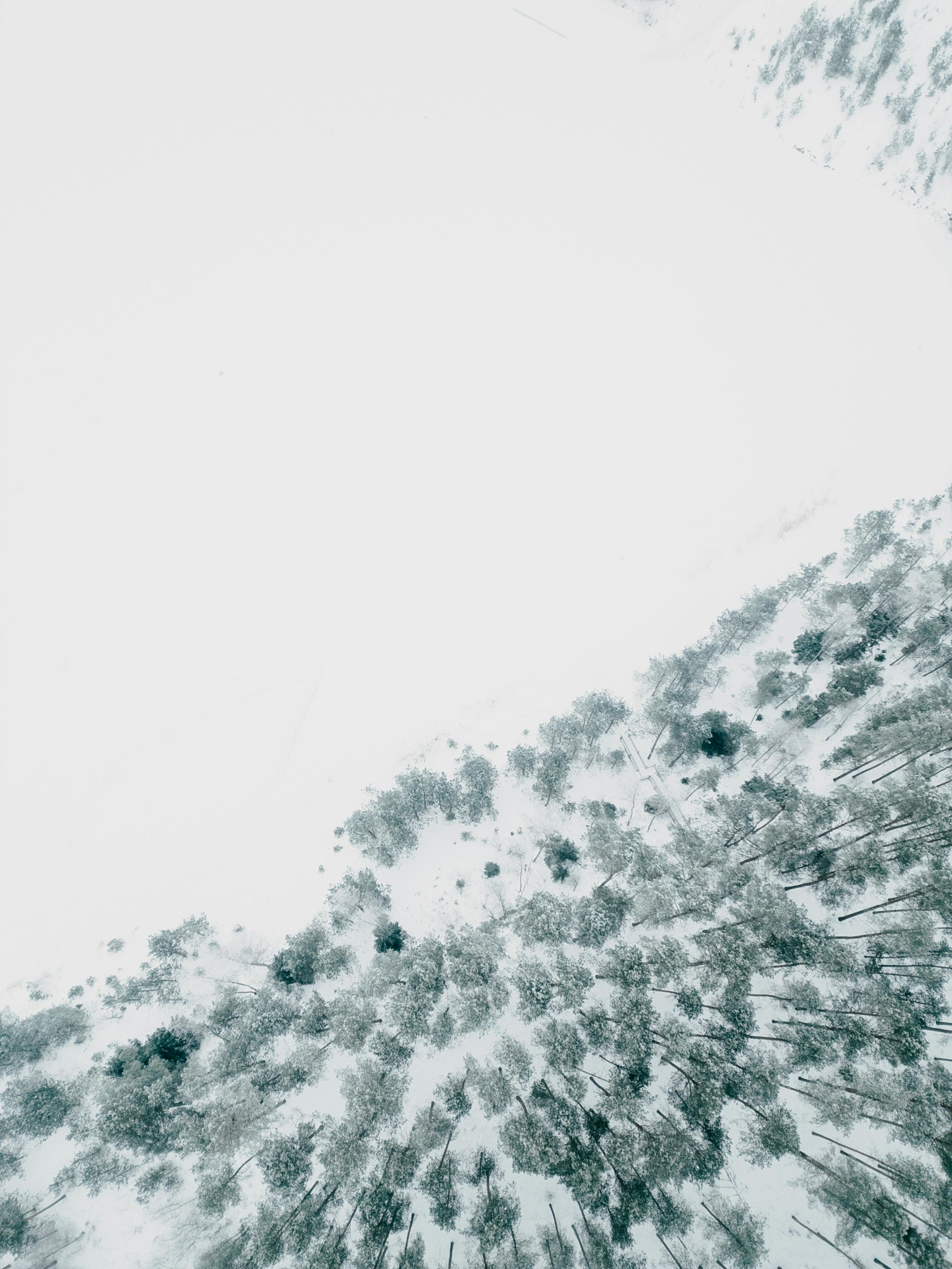 Gratuit Vue aérienne d'une forêt enneigée créant un paysage hivernal serein. Photos