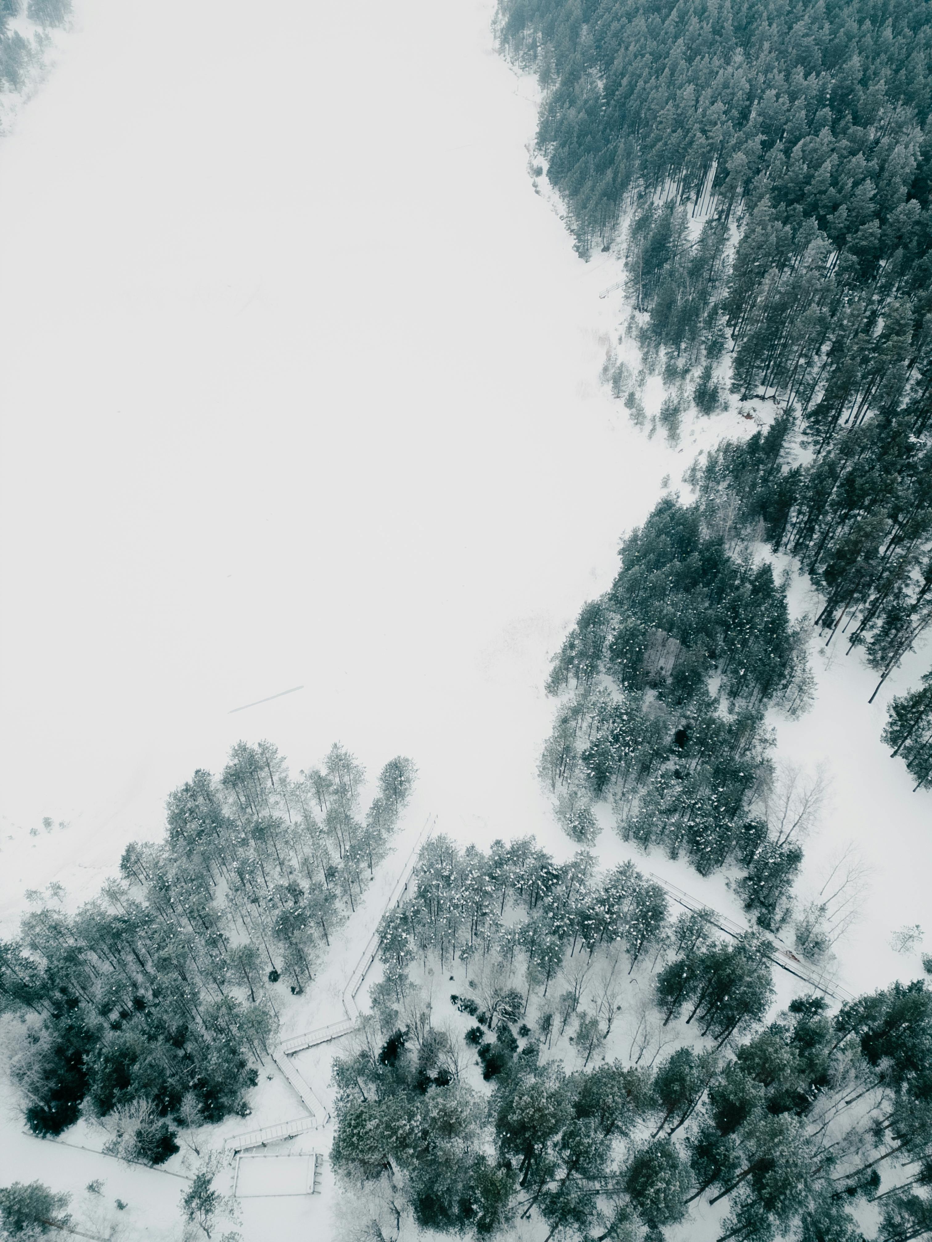 Miễn phí Một khung cảnh ngoạn mục từ trên cao nhìn xuống khu rừng phủ đầy tuyết, thể hiện vẻ đẹp thanh bình của mùa đông. Ảnh lưu trữ